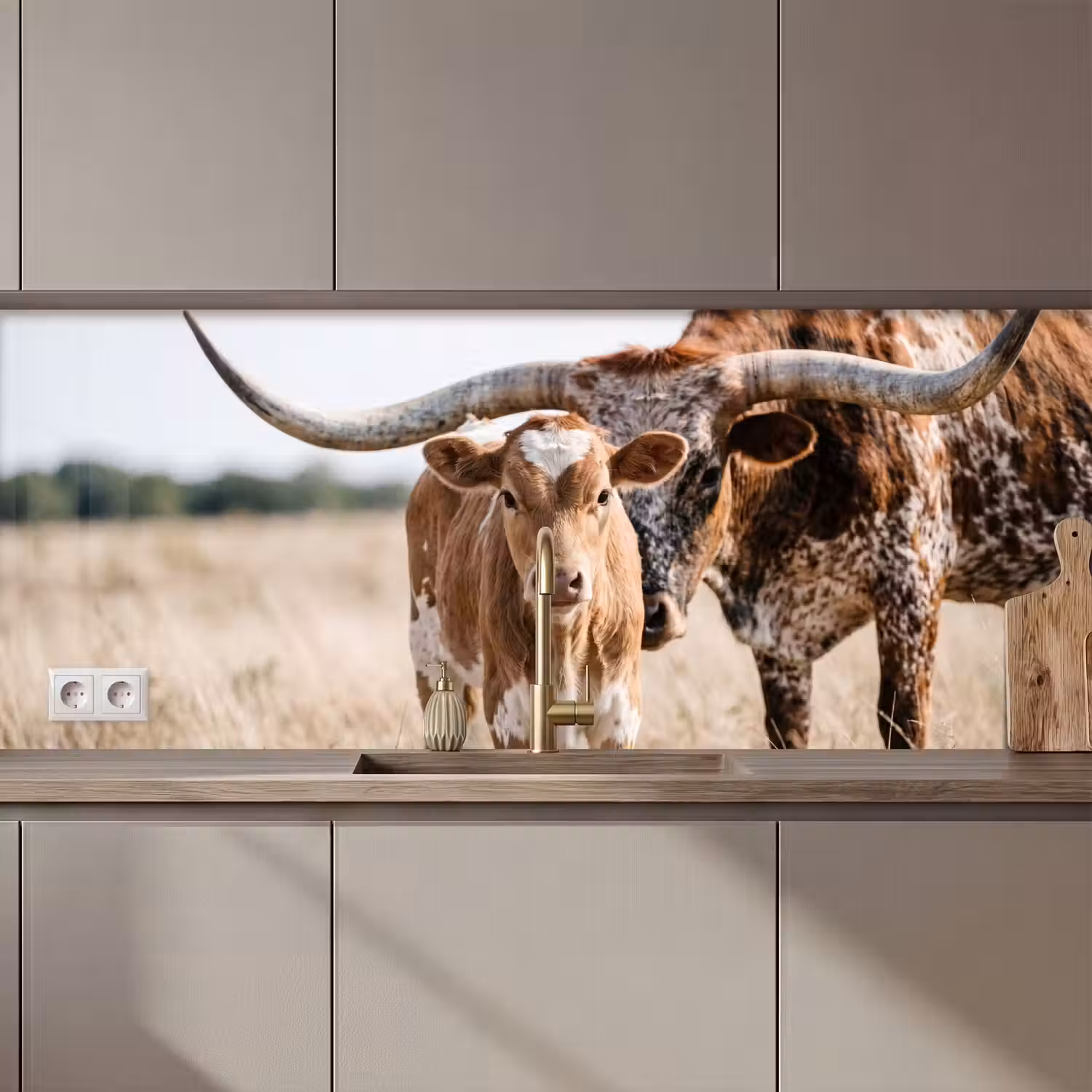 Texas Longhorn - Kalf - Weide - Dieren keuken achterwand 2 middel zz_3dshopping
