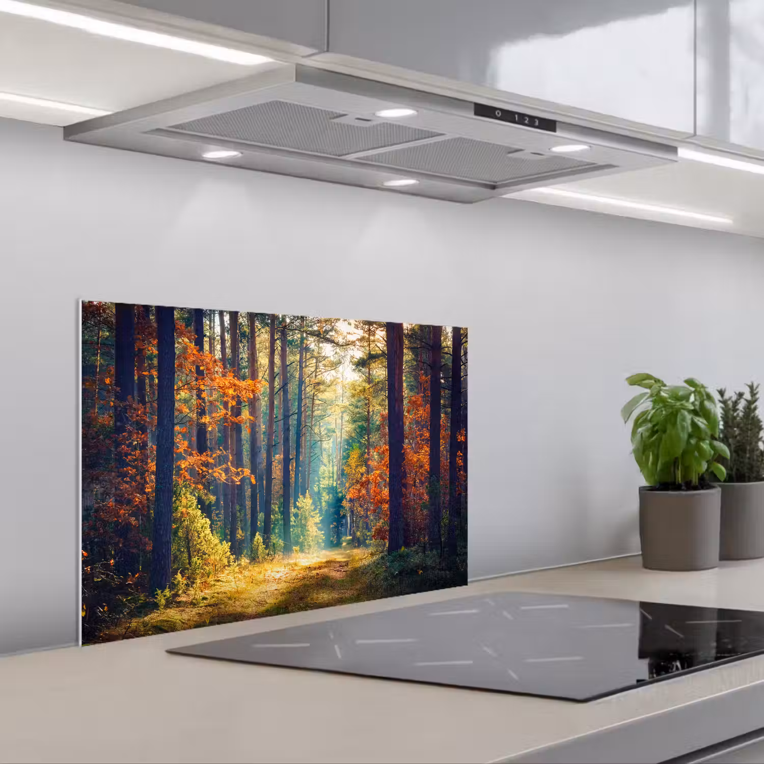 Bos - Zon - Natuur - Herfst keuken achterwand spatscherm klein -3d_schuin