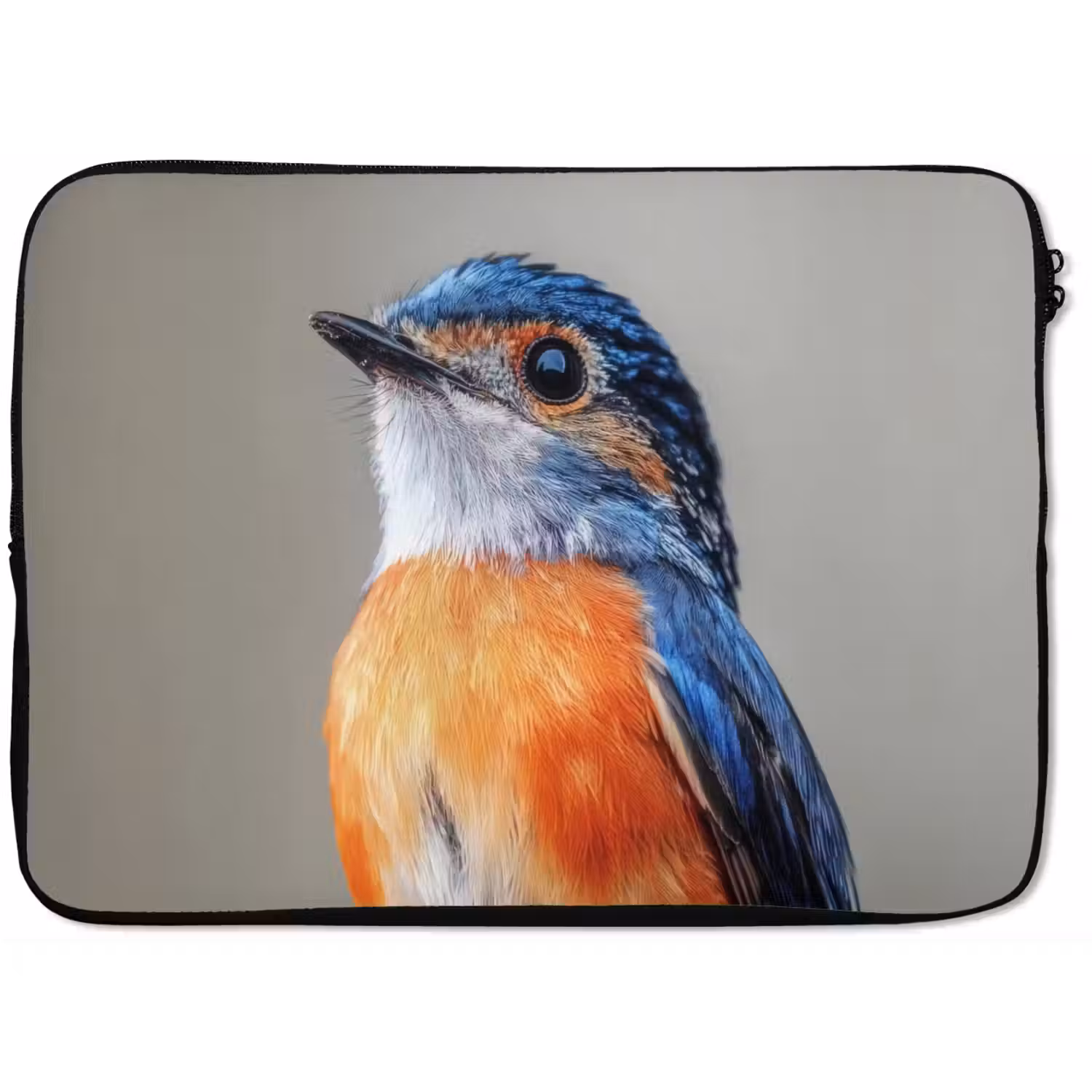 Kleurrijk - Vogeltje - Veren - Blauw laptophoes neopreen klein -zkaufland3dotto