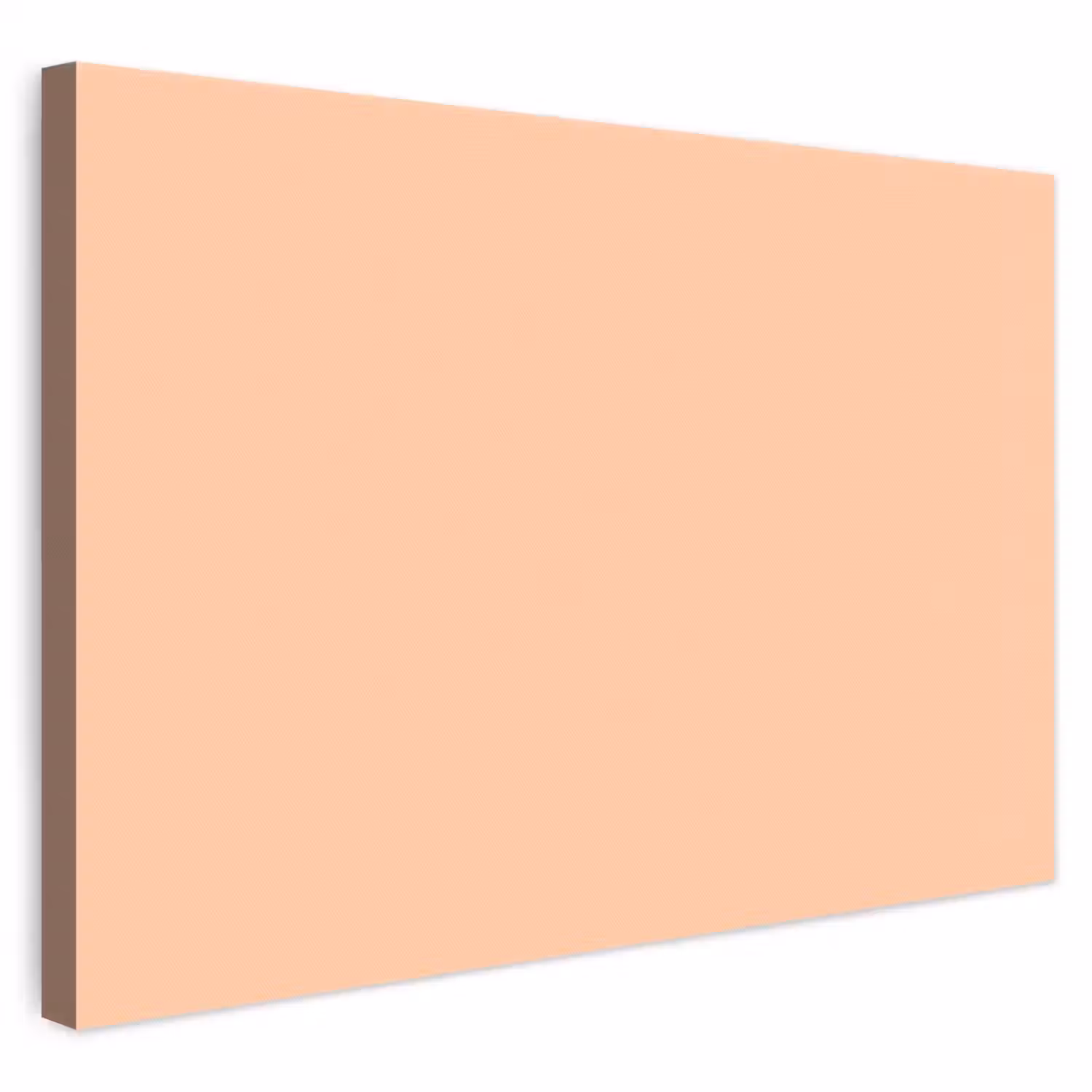 Apricot - Blush - Nude canvas 2cm klein 34 -3d