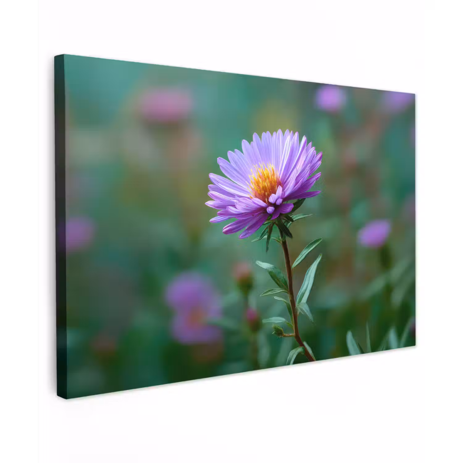 Aster - Paars - Bloem - Blaadjes canvas 2cm klein -z3d