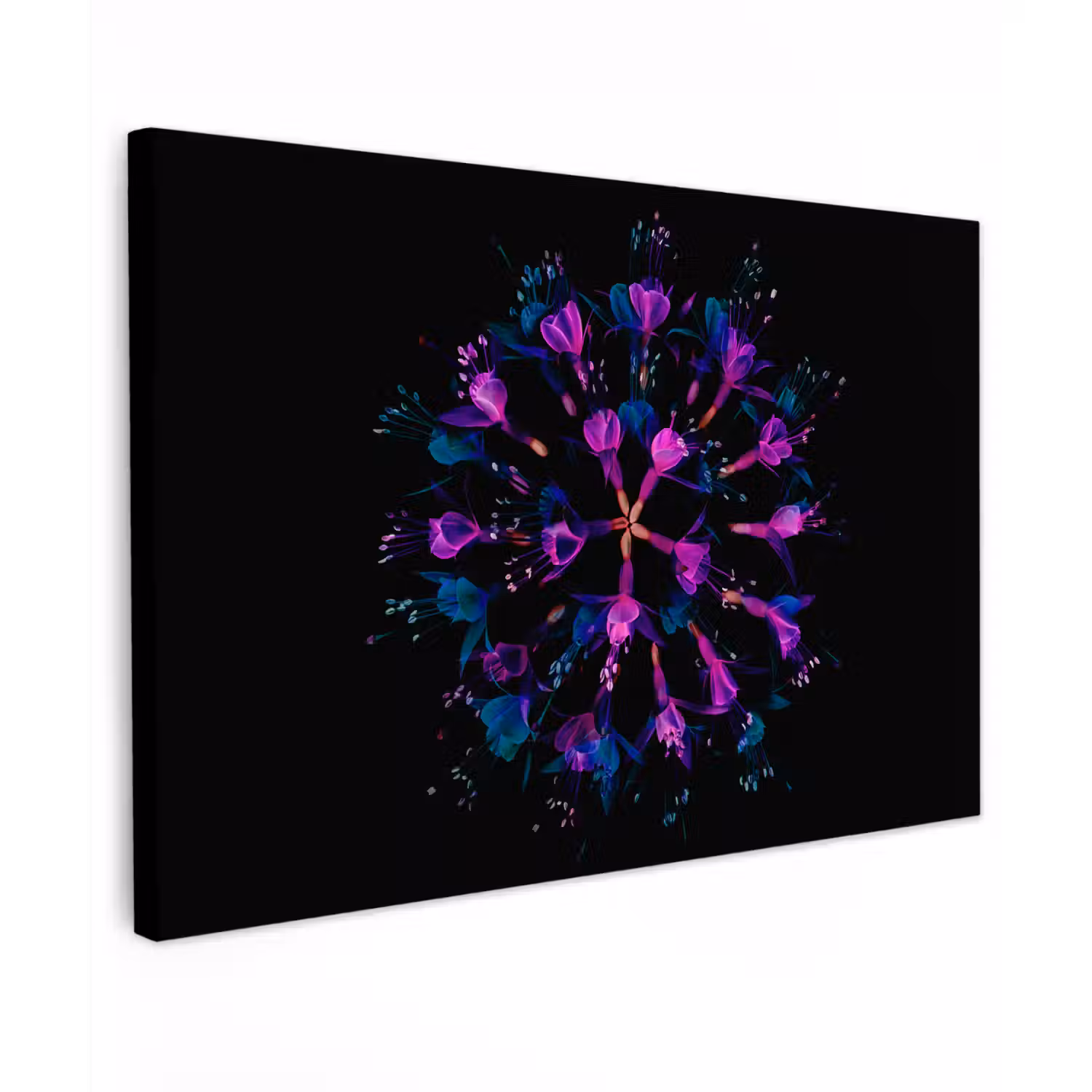 Bloem - Paars - Blauw - Macro - Zwart canvas 2cm klein -z3d