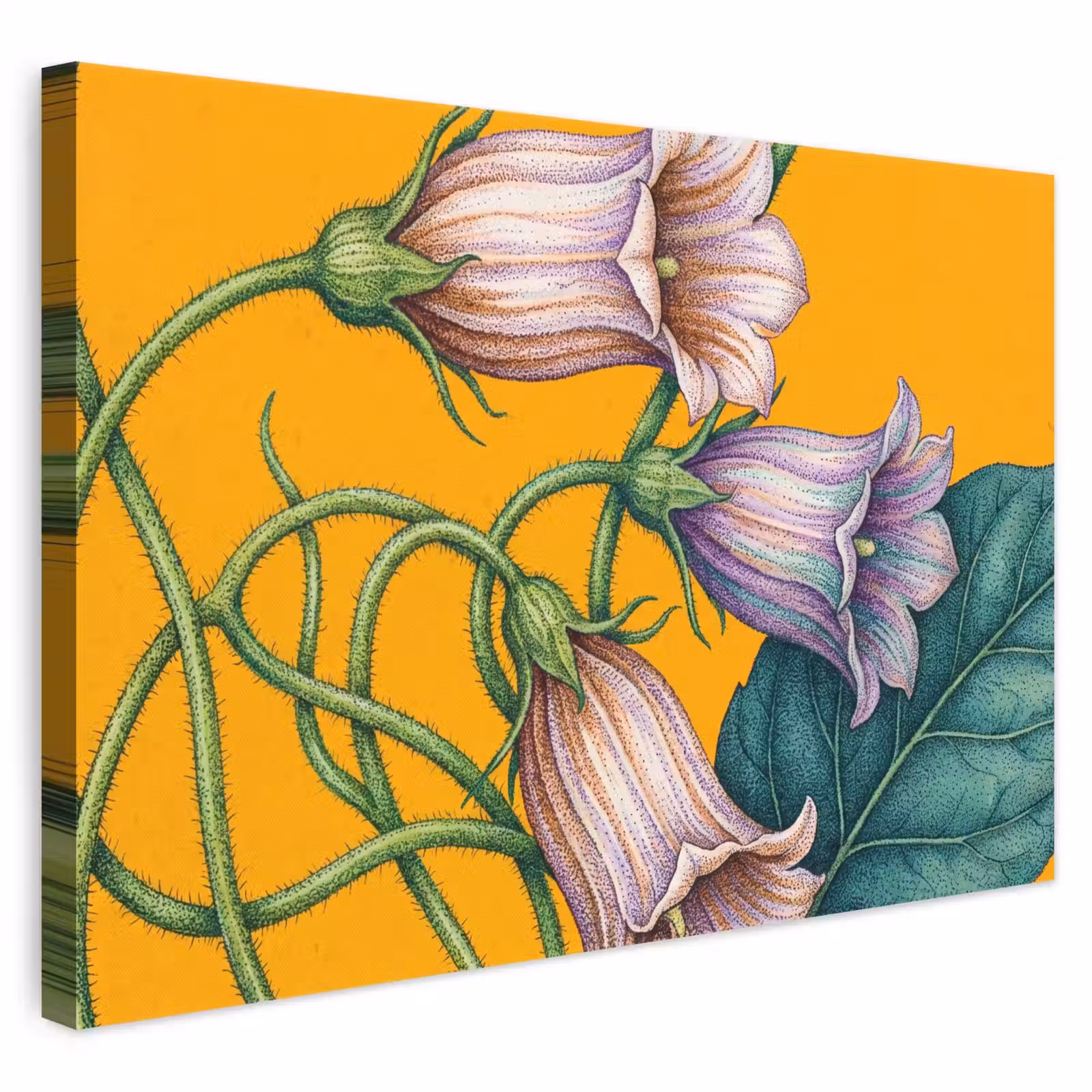 Leinwandbild - Blumen – Botanik – Gelb - Bloemen - Botanisch - Geel canvas 2cm klein