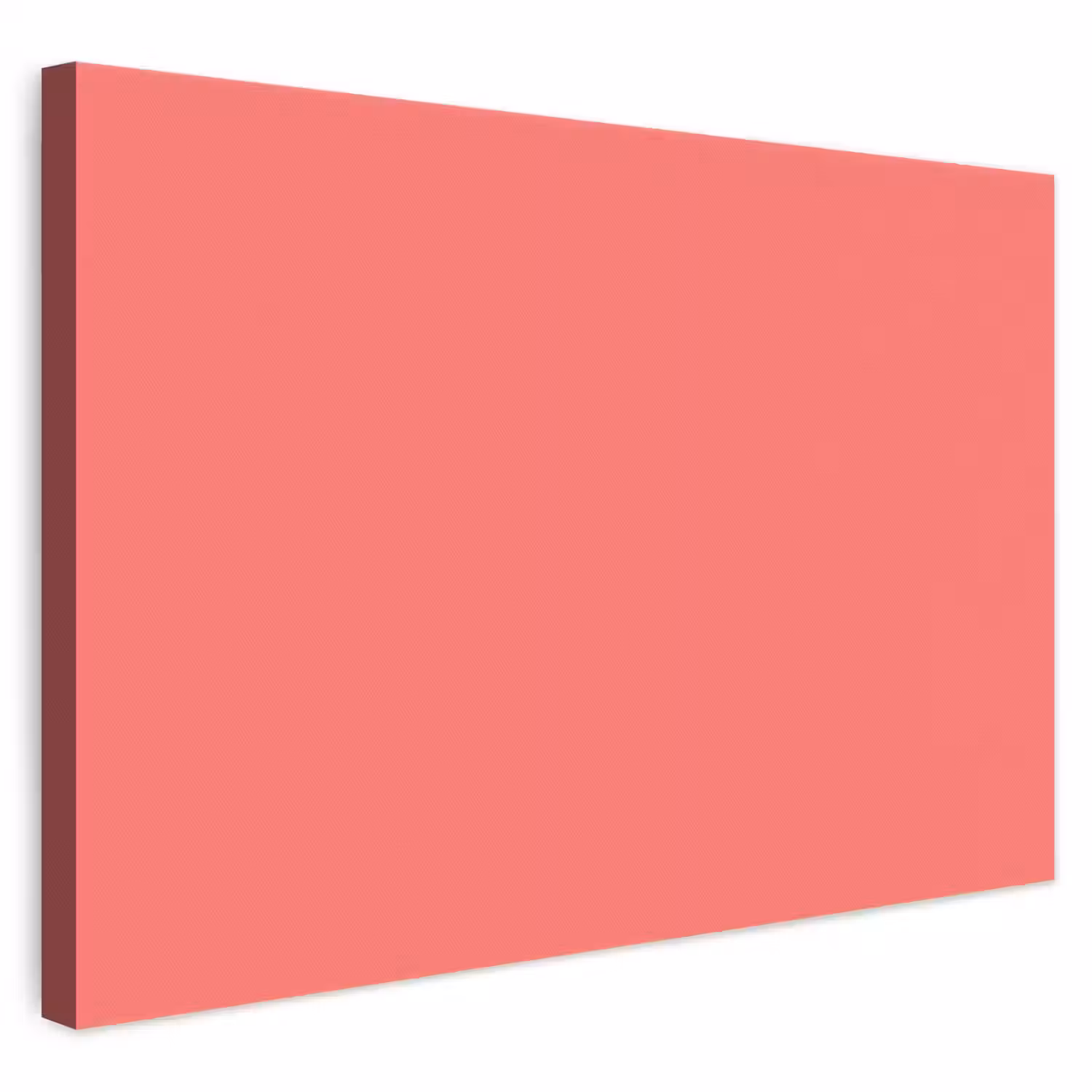 Coral - Punch - Koraal canvas 2cm klein 34 -3d