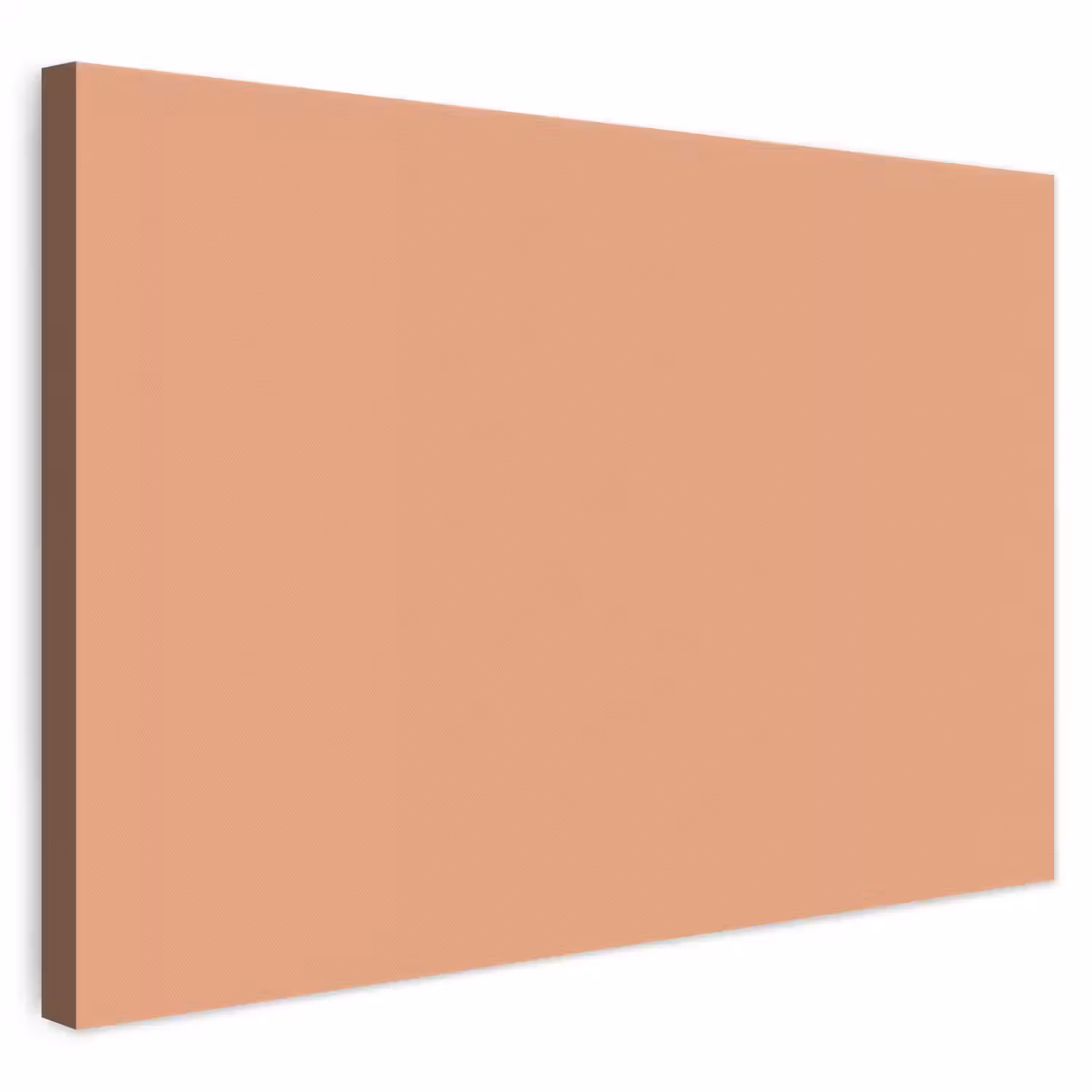 Desert - Coral - Koraal canvas 2cm klein 34 -3d