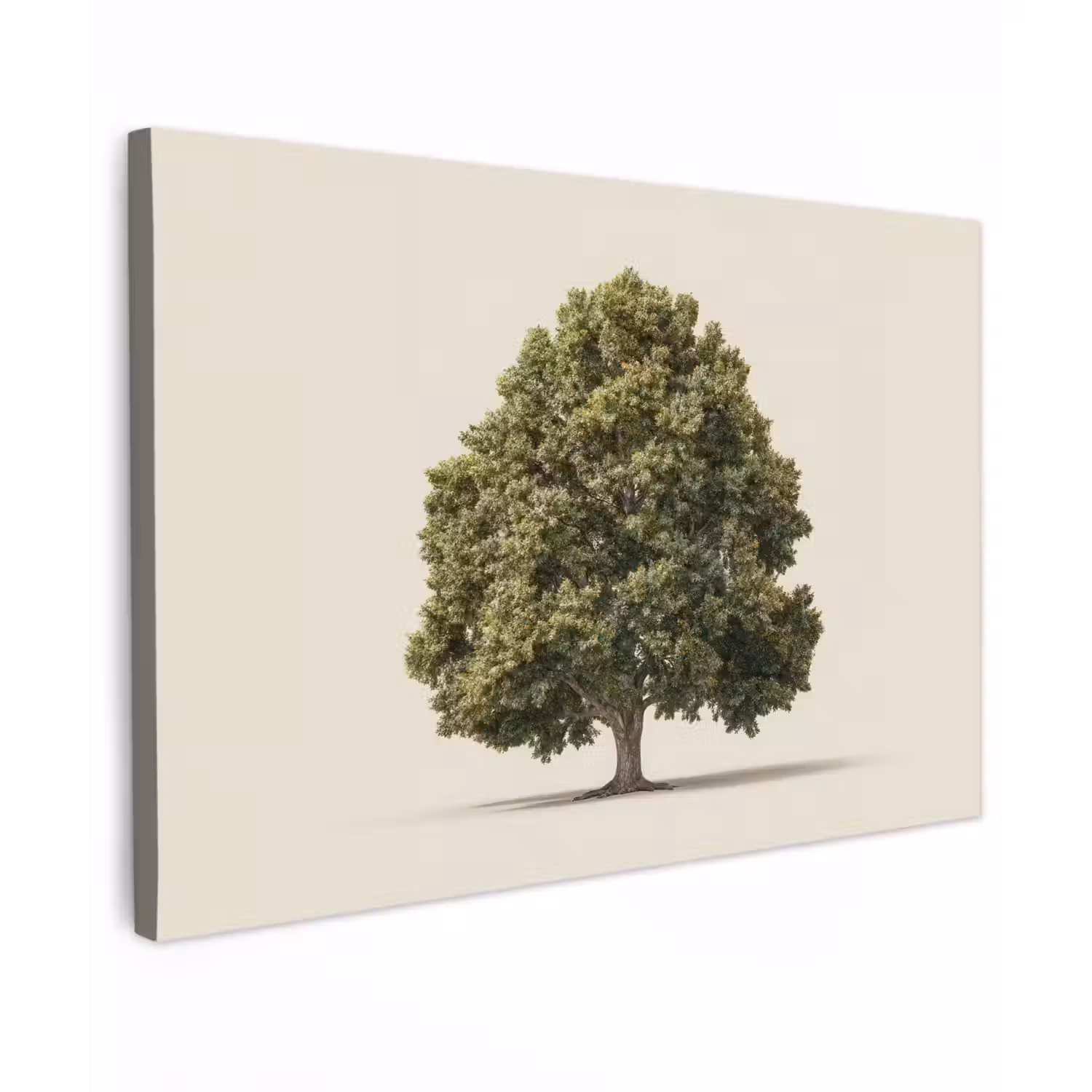 Eikenboom - Groen - Lichte achtergrond canvas 2cm klein -z3d