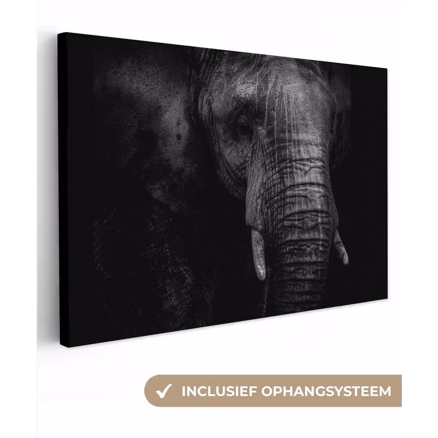 Olifant - Dier - Portret canvas 2cm klein -3d