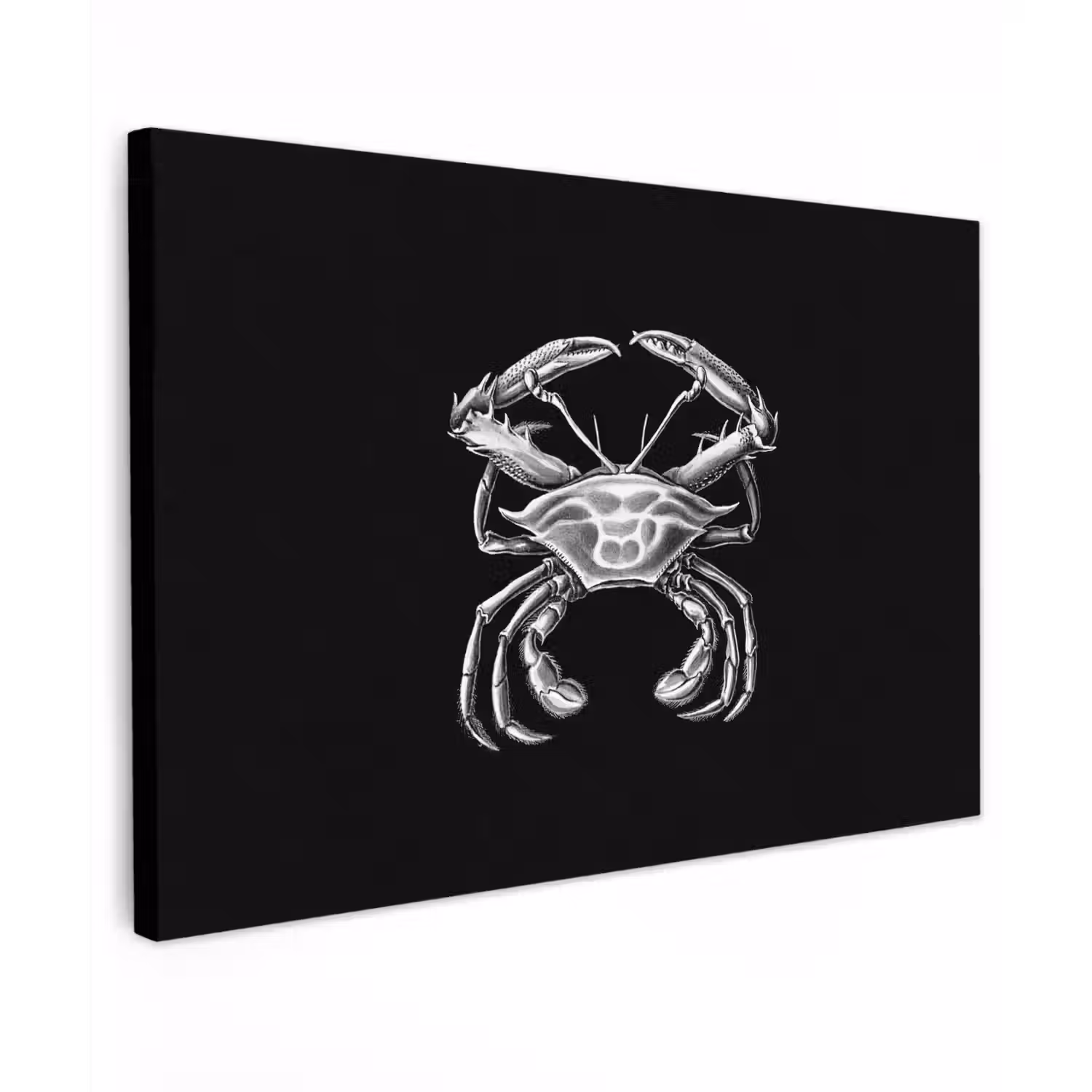 Ernst Haeckel - Krab - Oude meesters - Vintage - Dieren - Kunst canvas 2cm klein -z3d