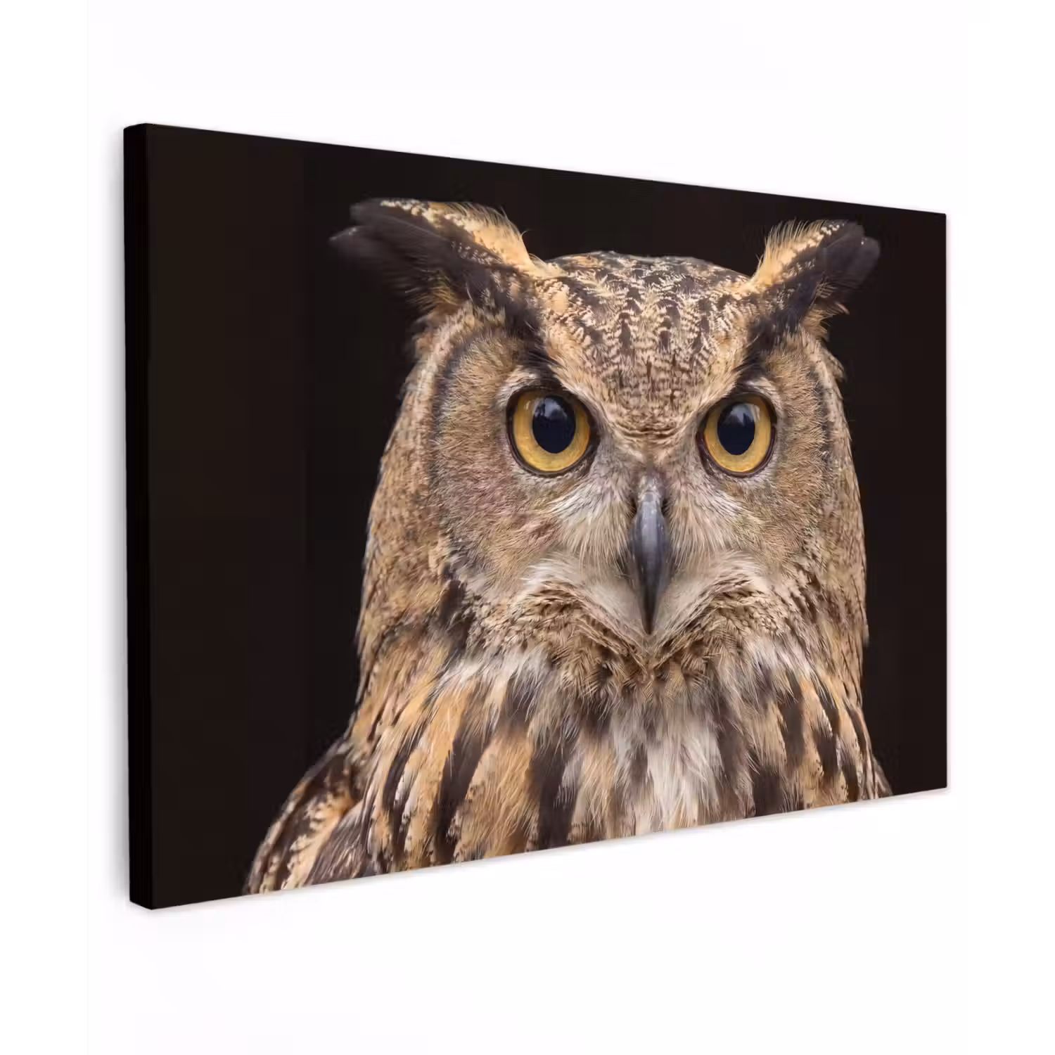 Oehoe - Uil - Portret - Bruin canvas 2cm klein -z3d