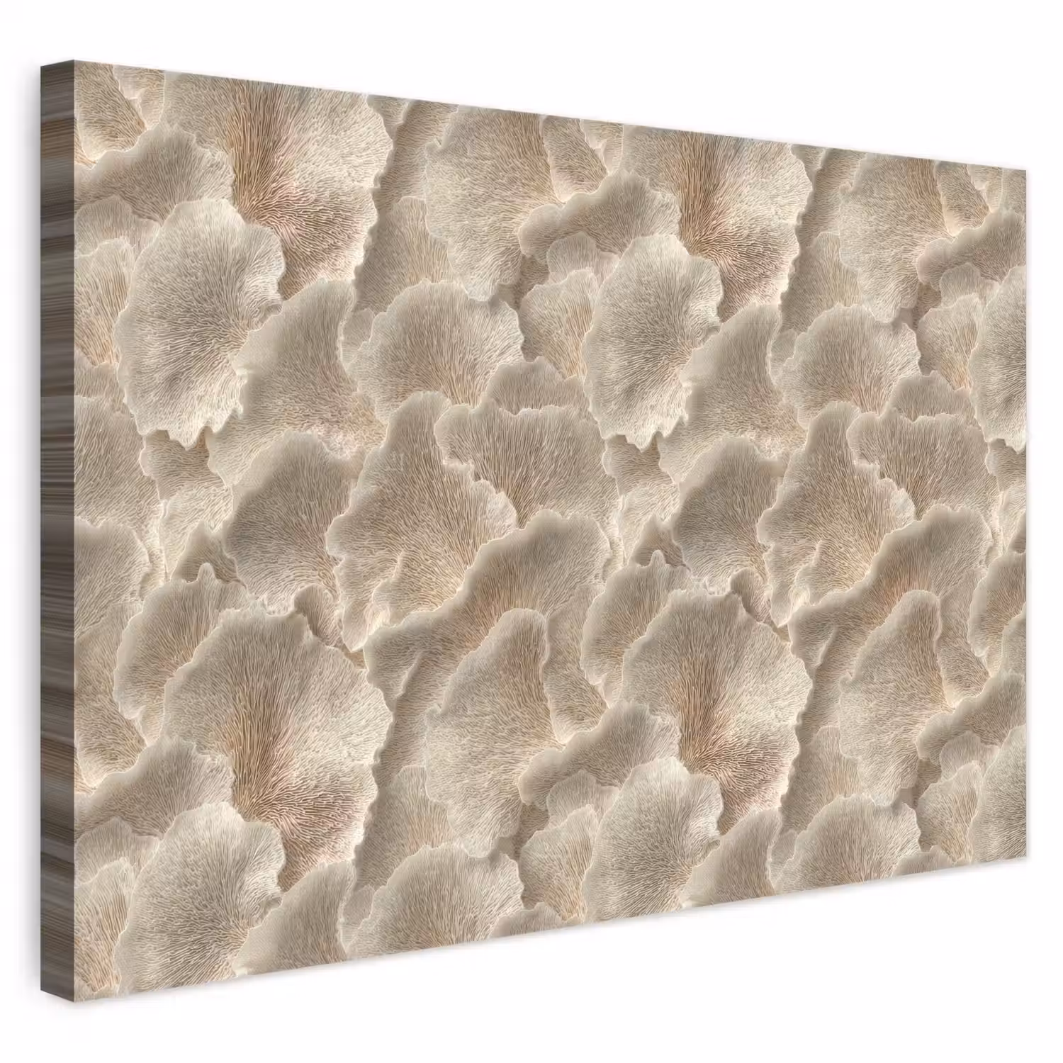 Waaierstructuren - Beige - Vezeltextuur canvas 2cm klein 34 -3d