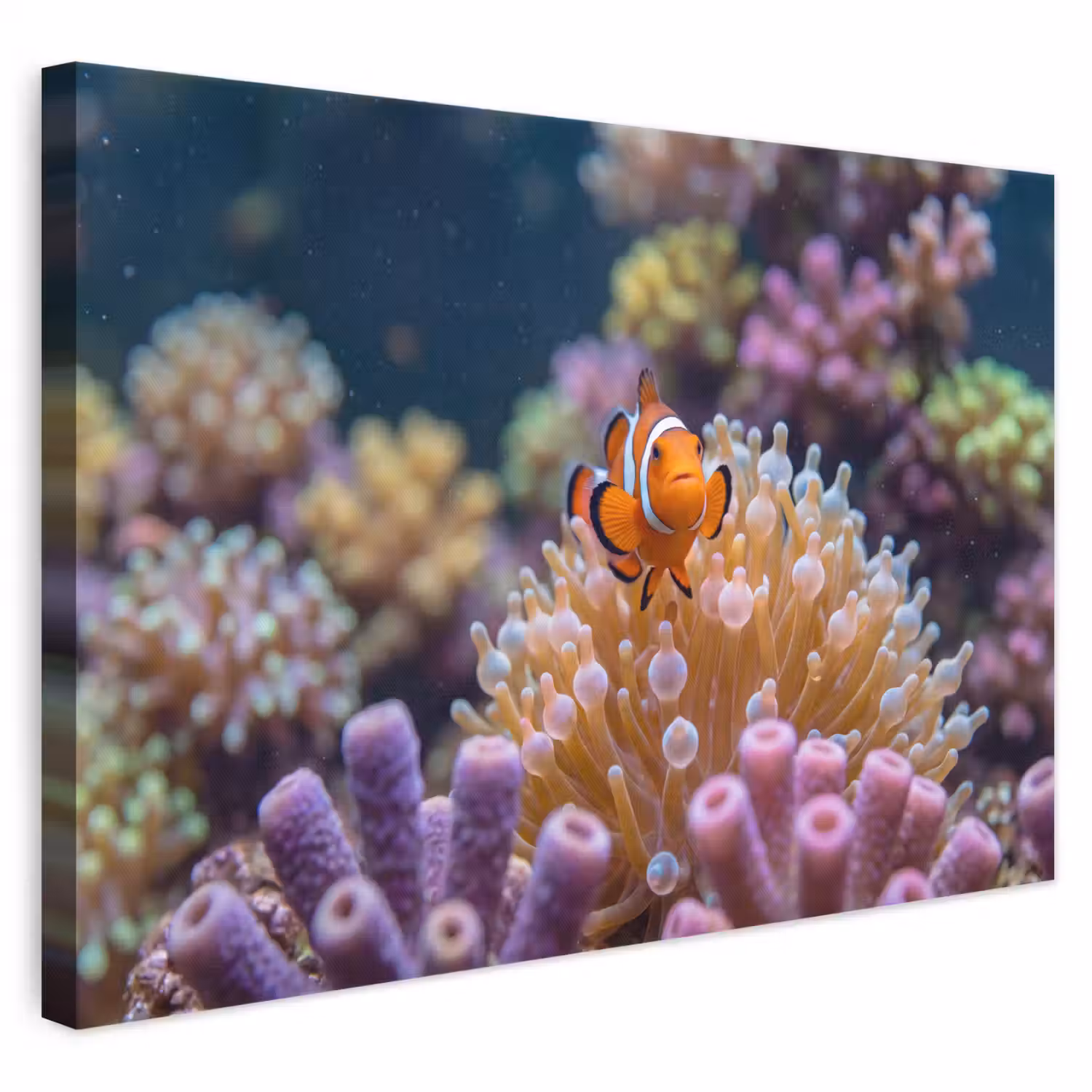 Vis - Koraal - Onderwater - Oranje - Dieren canvas 2cm klein -3d