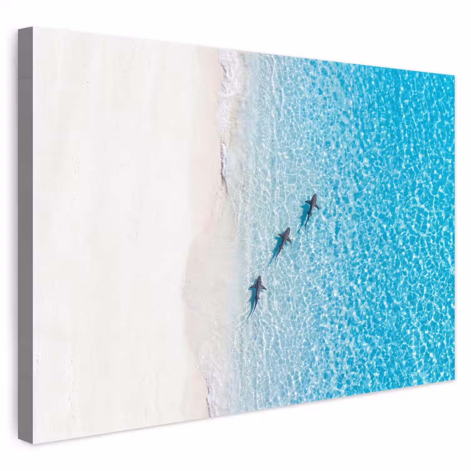 Vis - Oceaan - Strand - Turquoise - Natuur canvas 2cm klein -3d