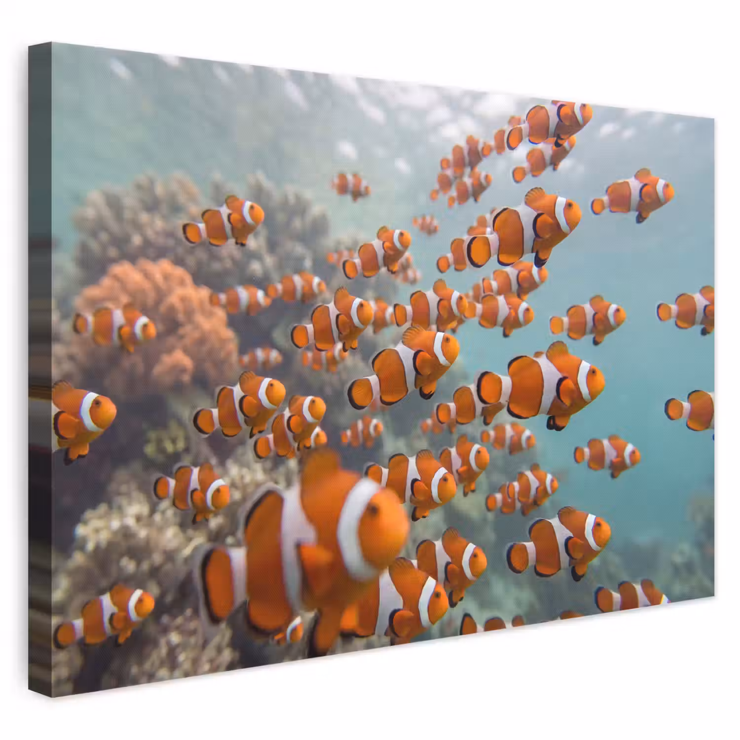 Vis - School - Onderwater - Dieren - Oranje canvas 2cm klein -3d
