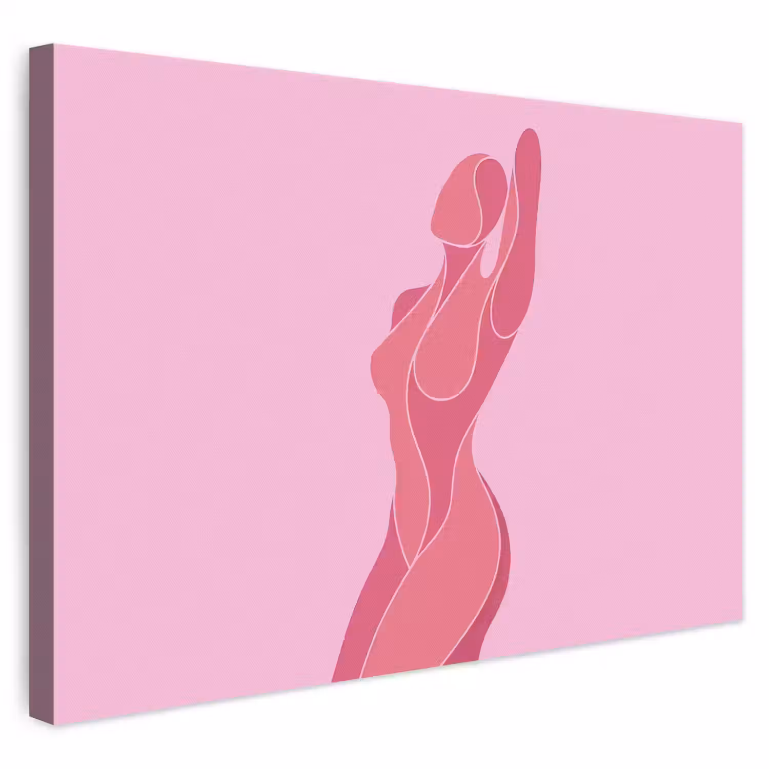 Vrouw - Lichaam - Abstract - Roze canvas 2cm klein -3d