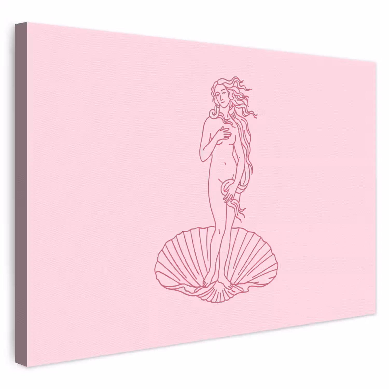 Vrouw - Schelp - Kunst - Lijntekening - Roze canvas 2cm klein -3d