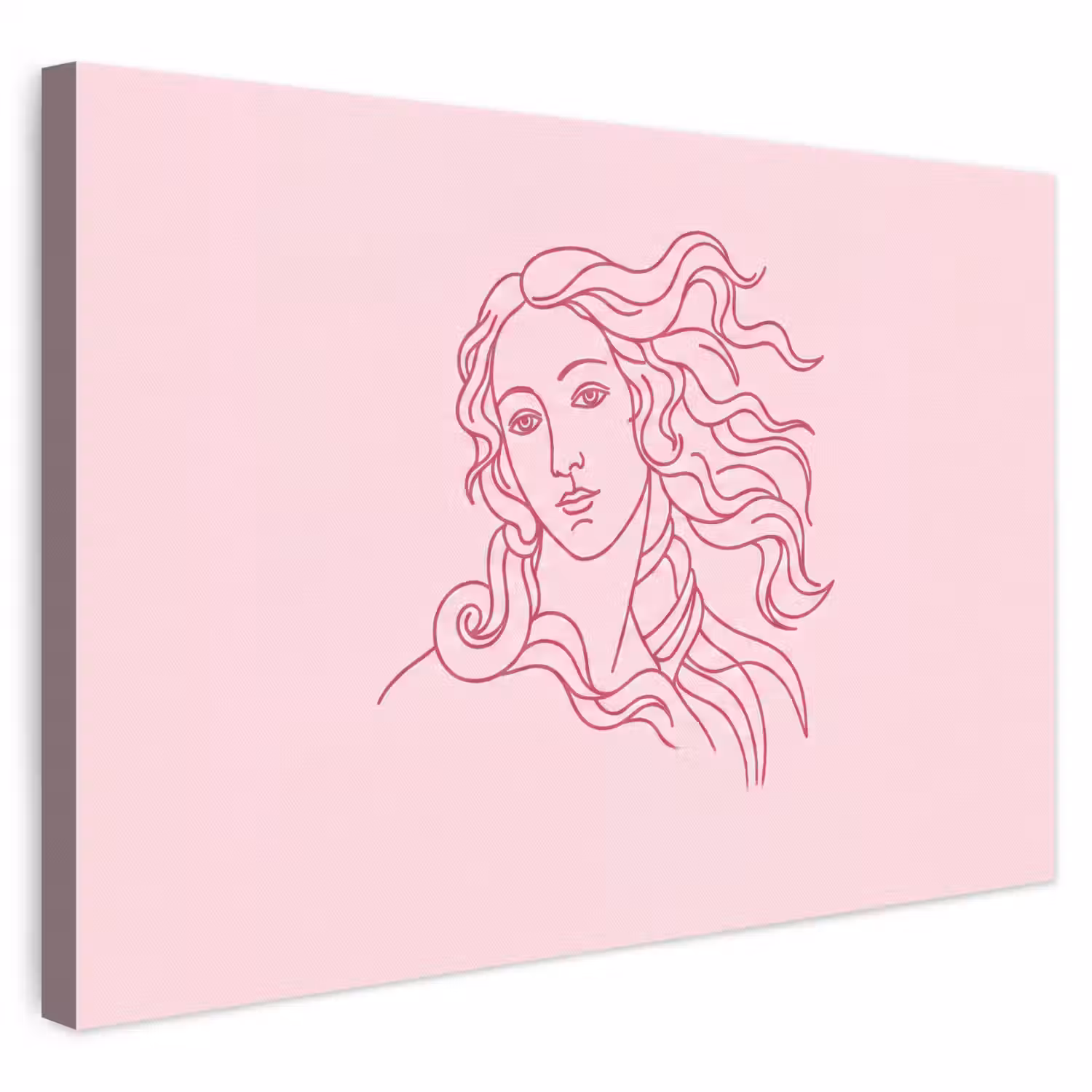Vrouw - Portret - Klassiek - Line-art - Roze canvas 2cm klein -3d