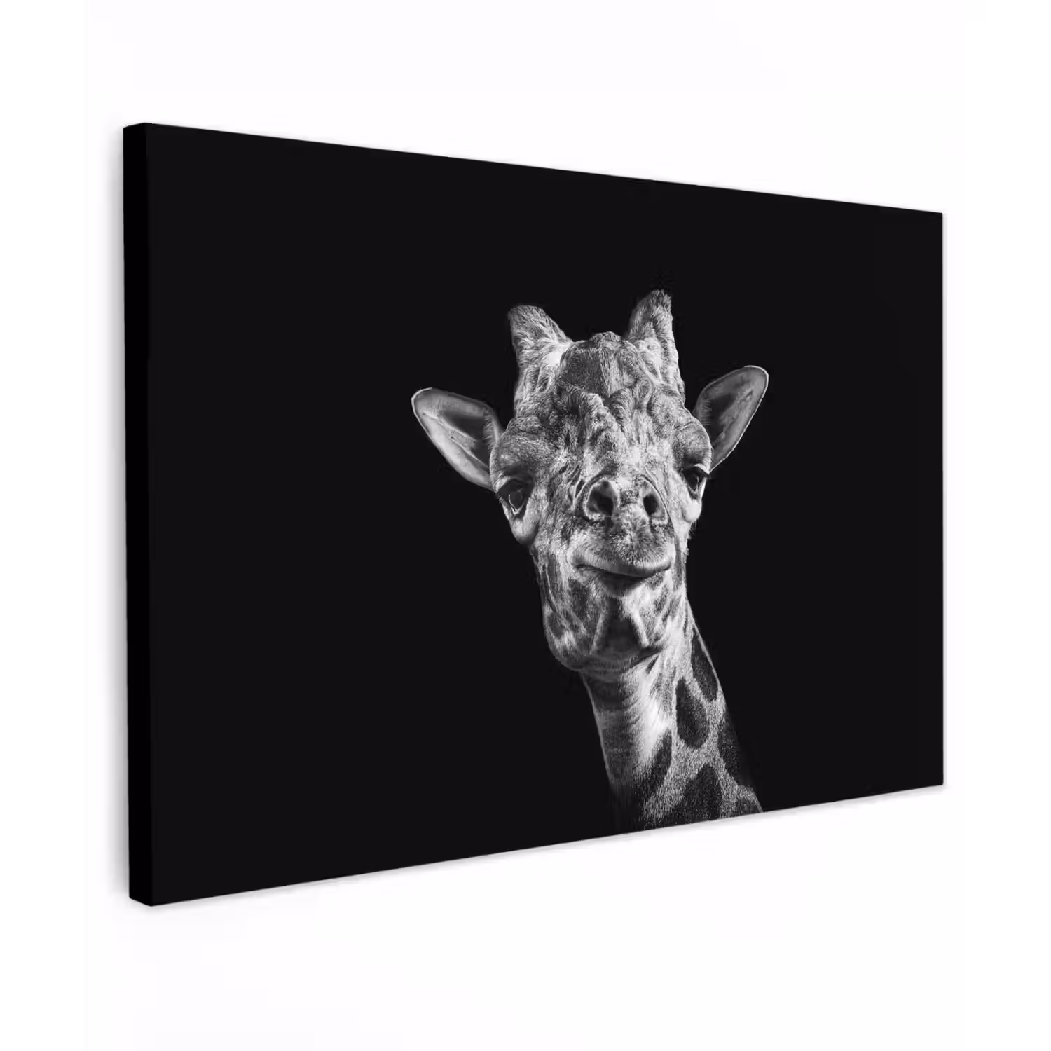 Giraffe - Dier - Zwart - Wit canvas 2cm klein -z3d