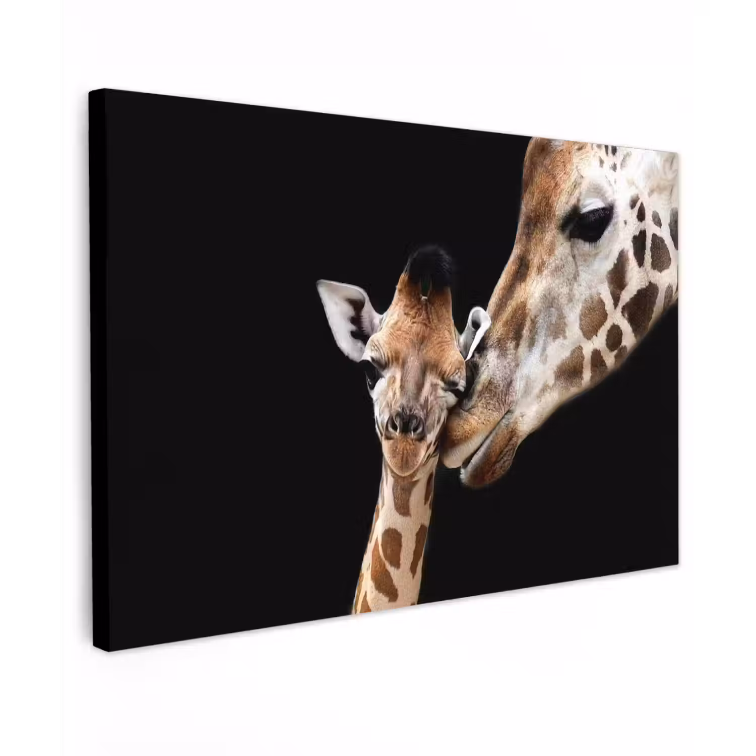 Giraffe - Dieren - Zwart - Portret - Dieren canvas 2cm klein -z3d