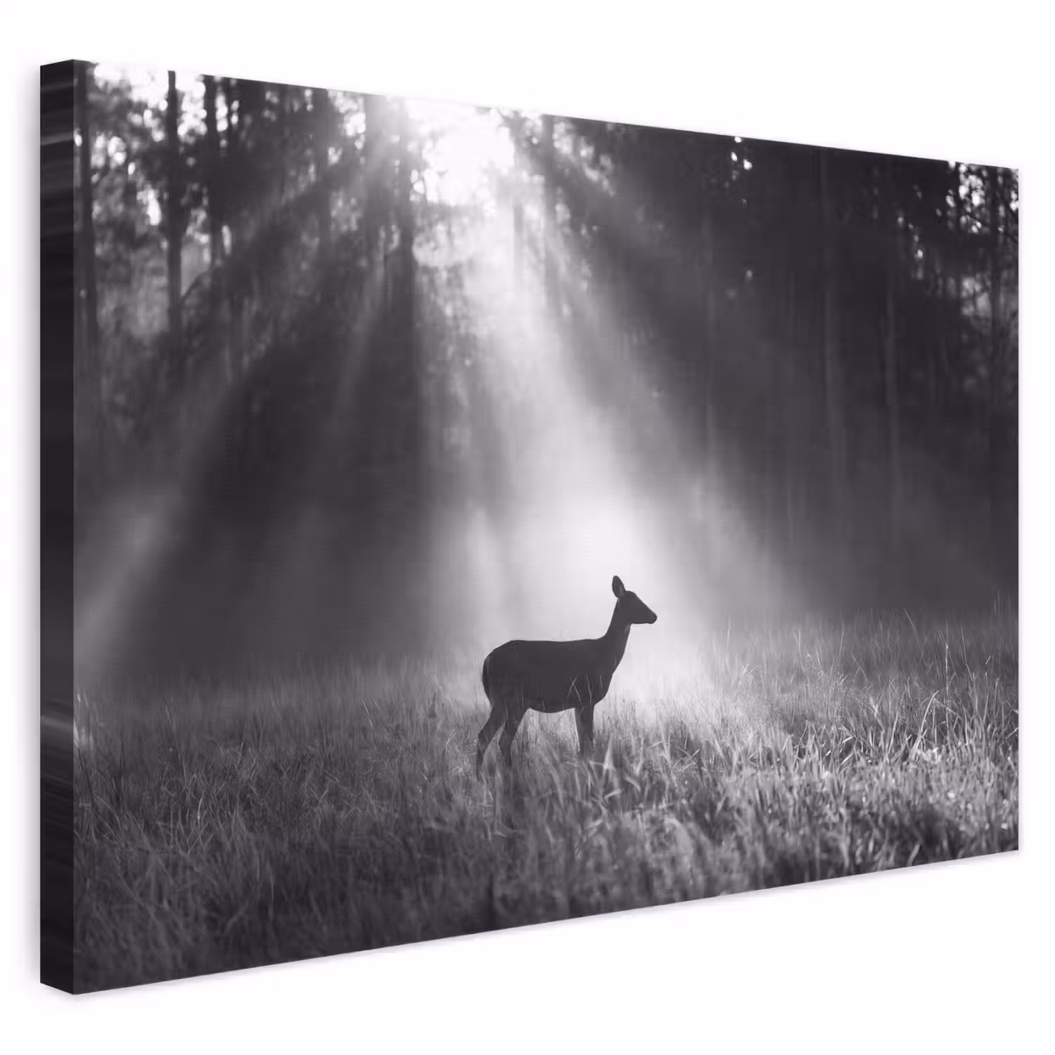 Hert - Bos - Zonnestralen - Zwart-wit - Natuur canvas 2cm klein -3d