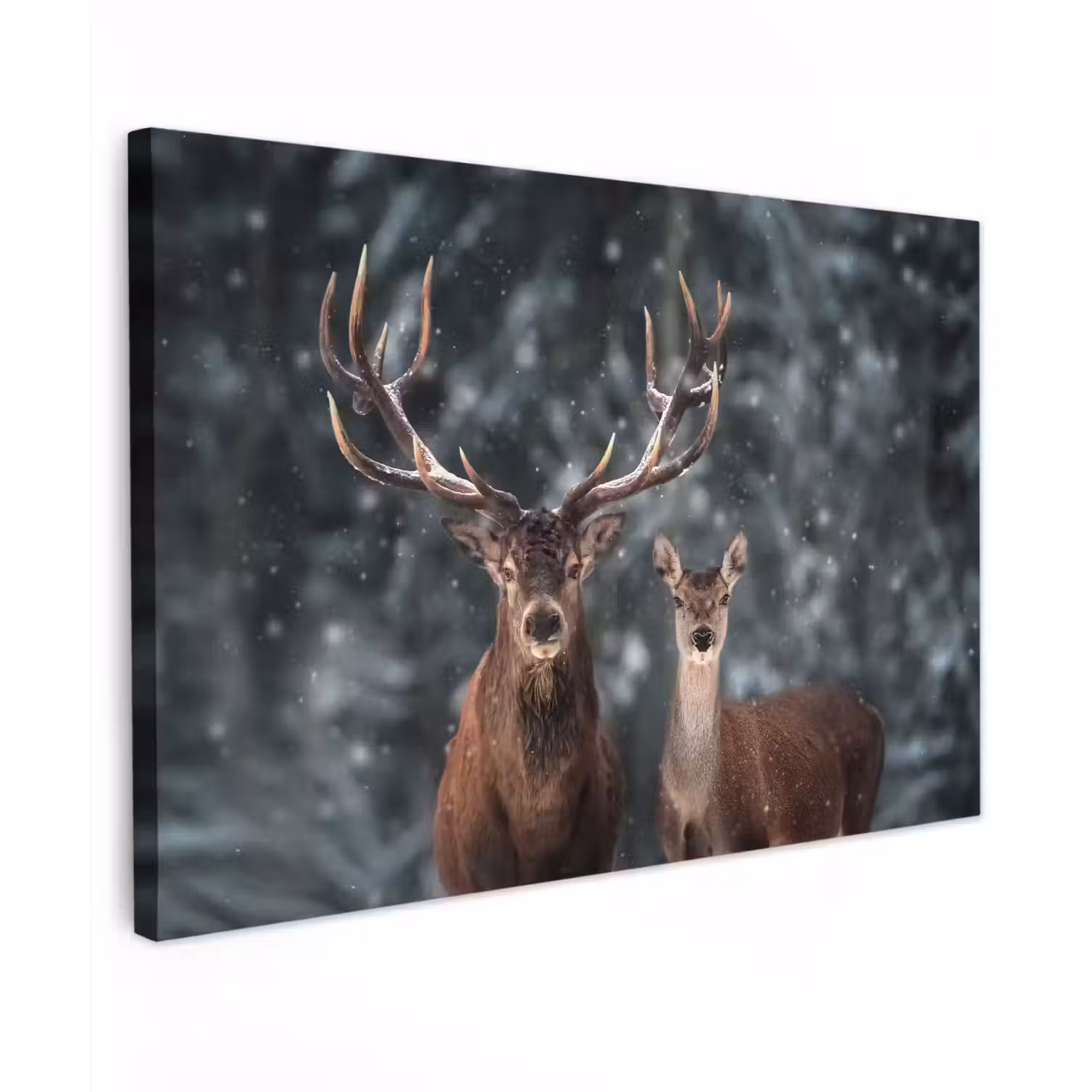 Hert - Dieren - Winter - Gewei - Sneeuw - Natuur canvas 2cm klein -z3d
