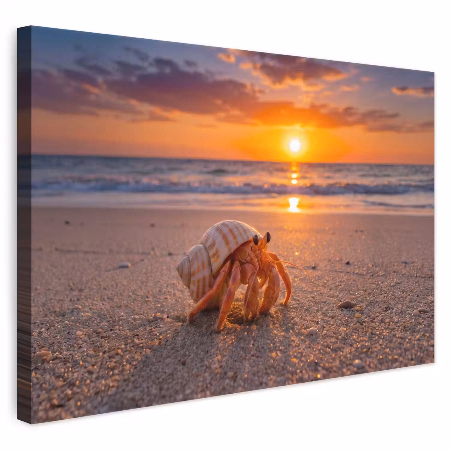 Kreeft - Strand - Natuur - Zonsondergang - Oranje canvas 2cm klein -3d