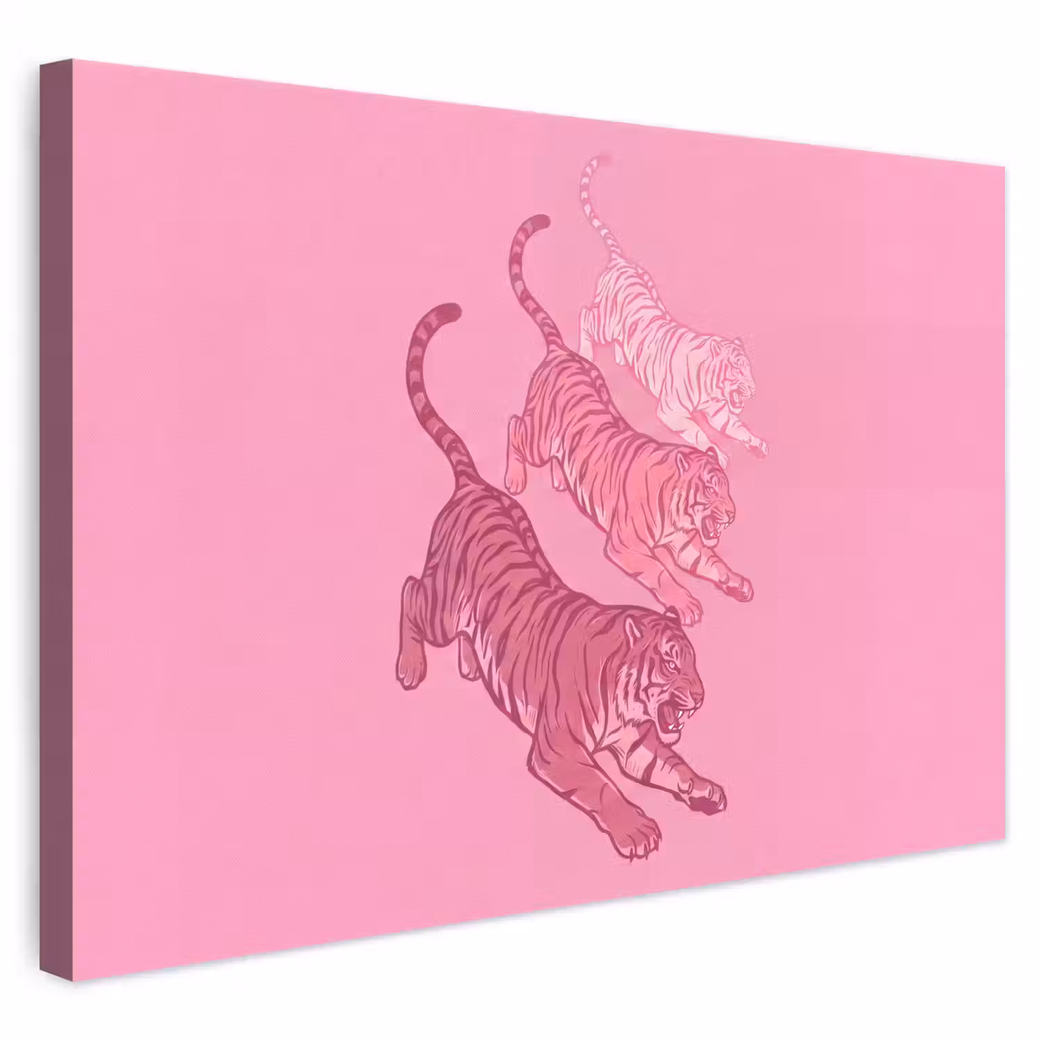 Kat - Springend - Dieren - Roze - Modern canvas 2cm klein -3d