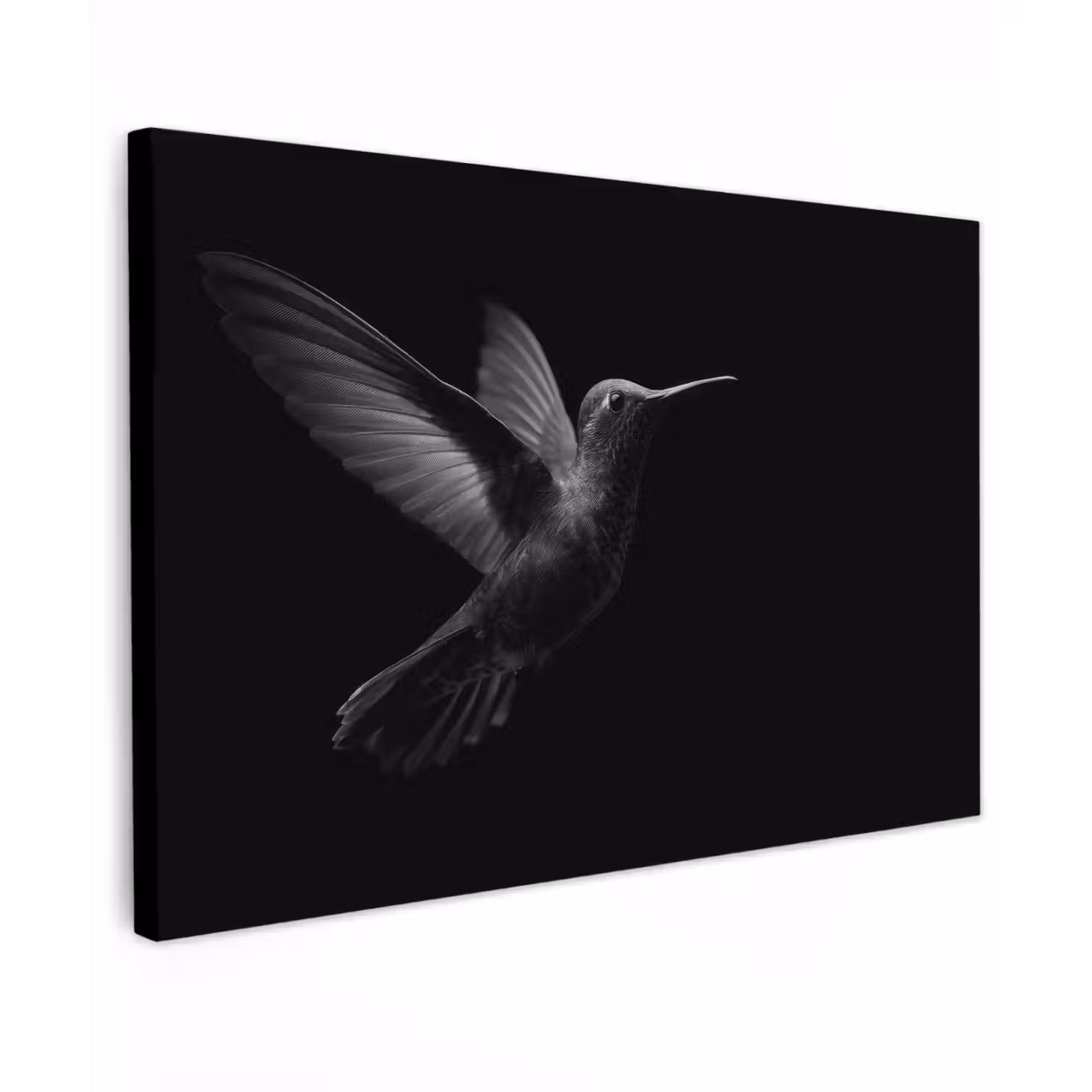 Kolibrie - Zwart - Dieren canvas 2cm klein -z3d