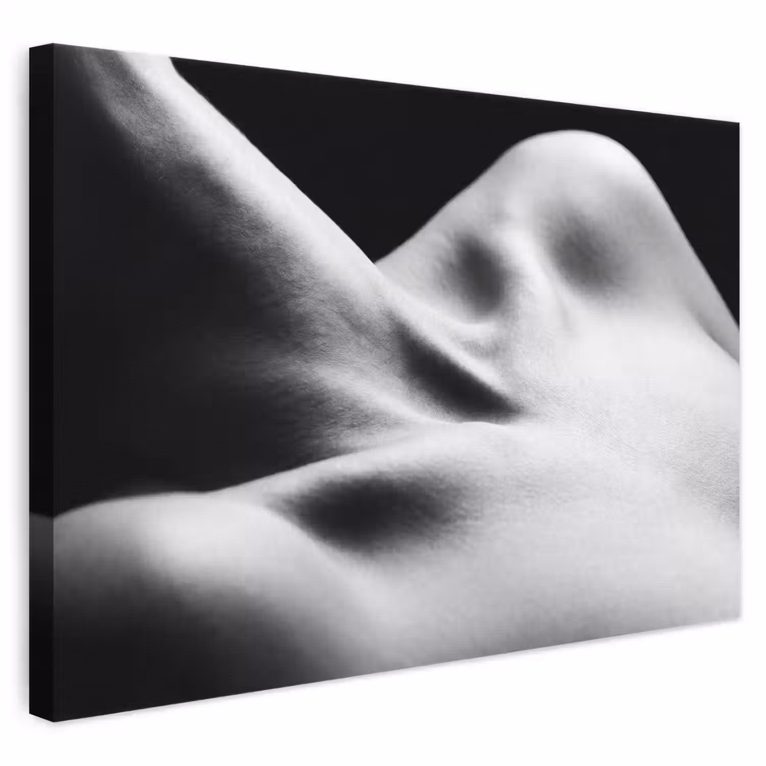 Lichaam - Vormen - Abstract - Zwart - Wit - Sensueel canvas 2cm klein -3d