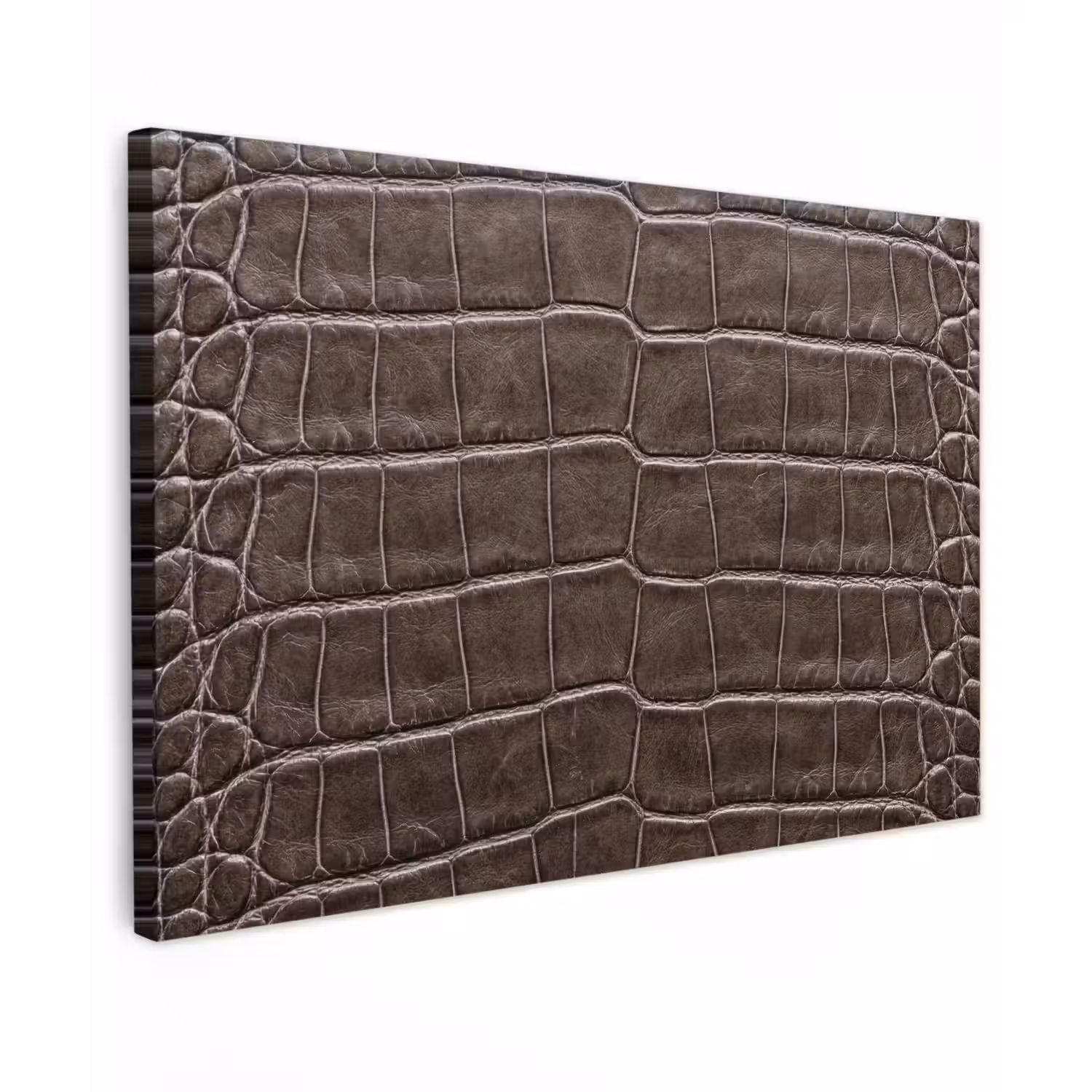 Leer - Krokodil - Mat canvas 2cm klein -z3d