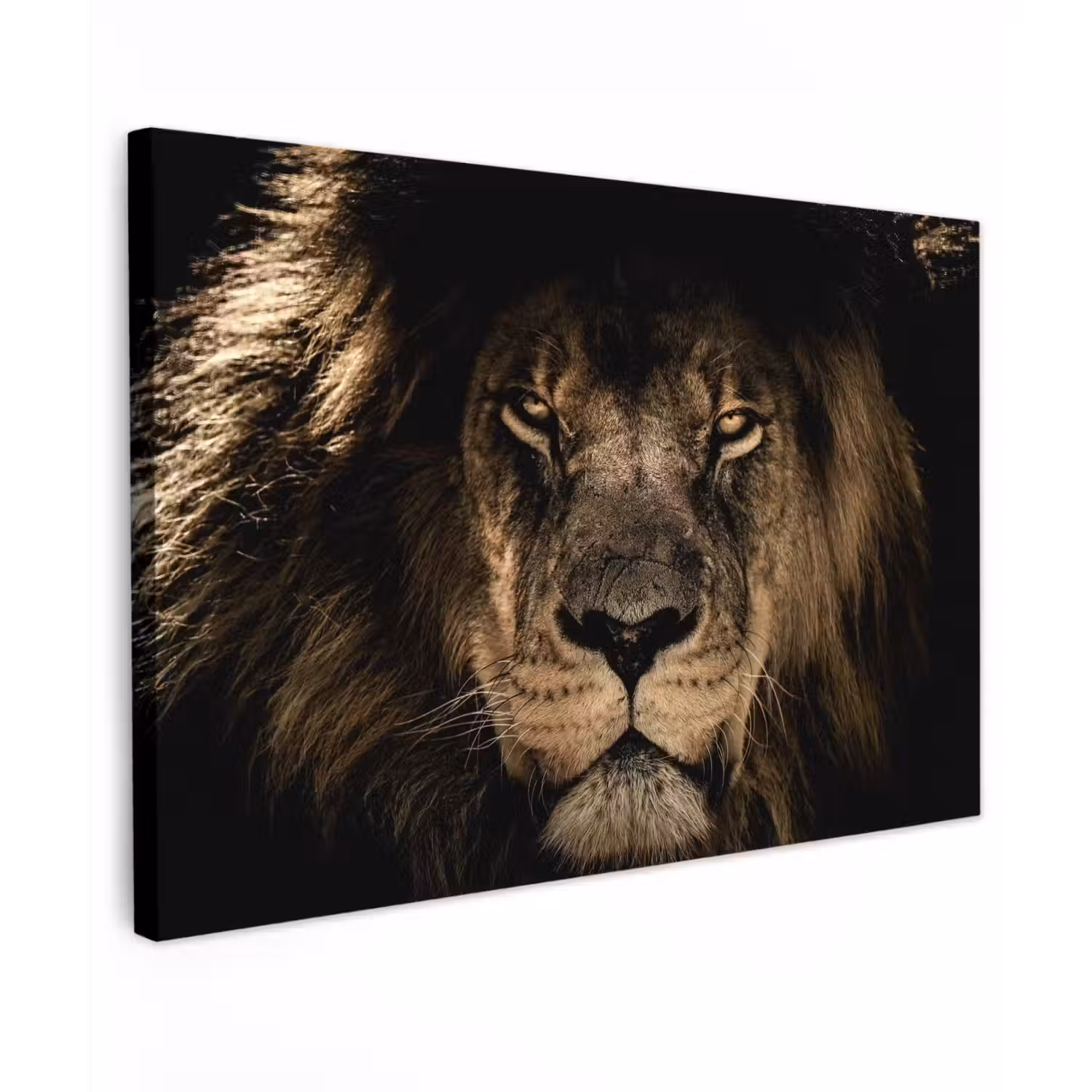 Leeuw - Dieren - Zwart - Portret canvas 2cm klein -z3d