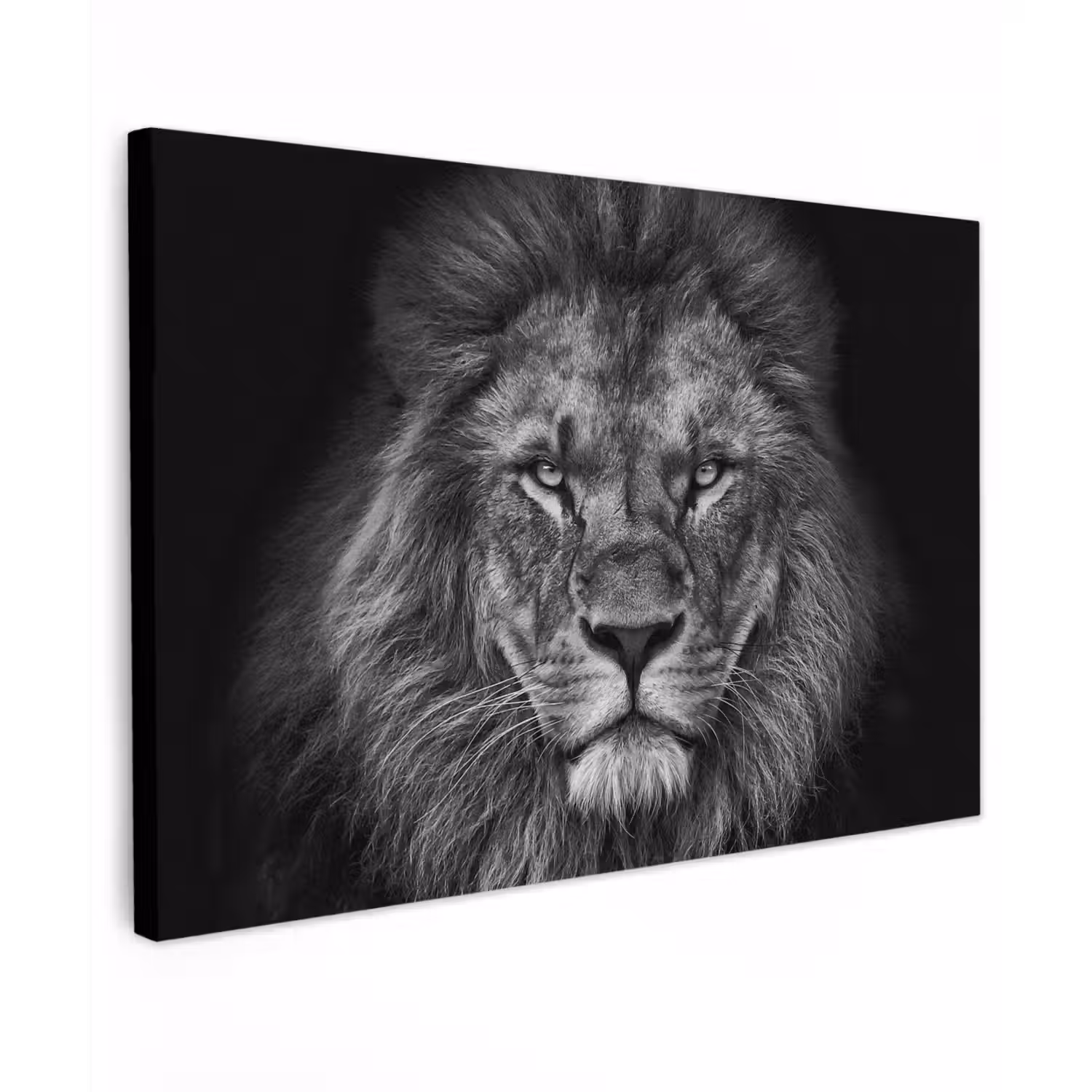 Leeuw - Dieren - Zwart - Wit canvas 2cm klein -z3d