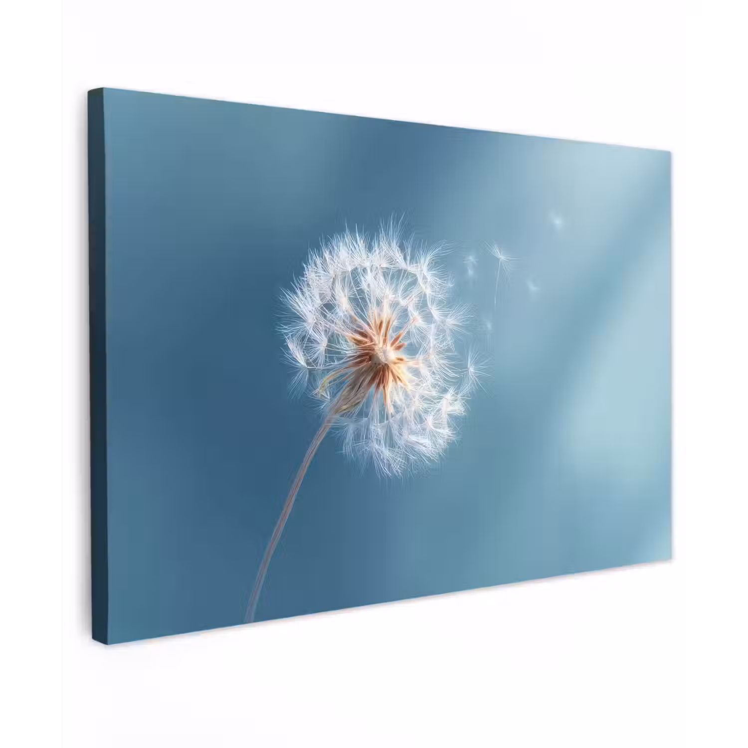 Paardenbloem - Wind - Blauw canvas 2cm klein -z3d