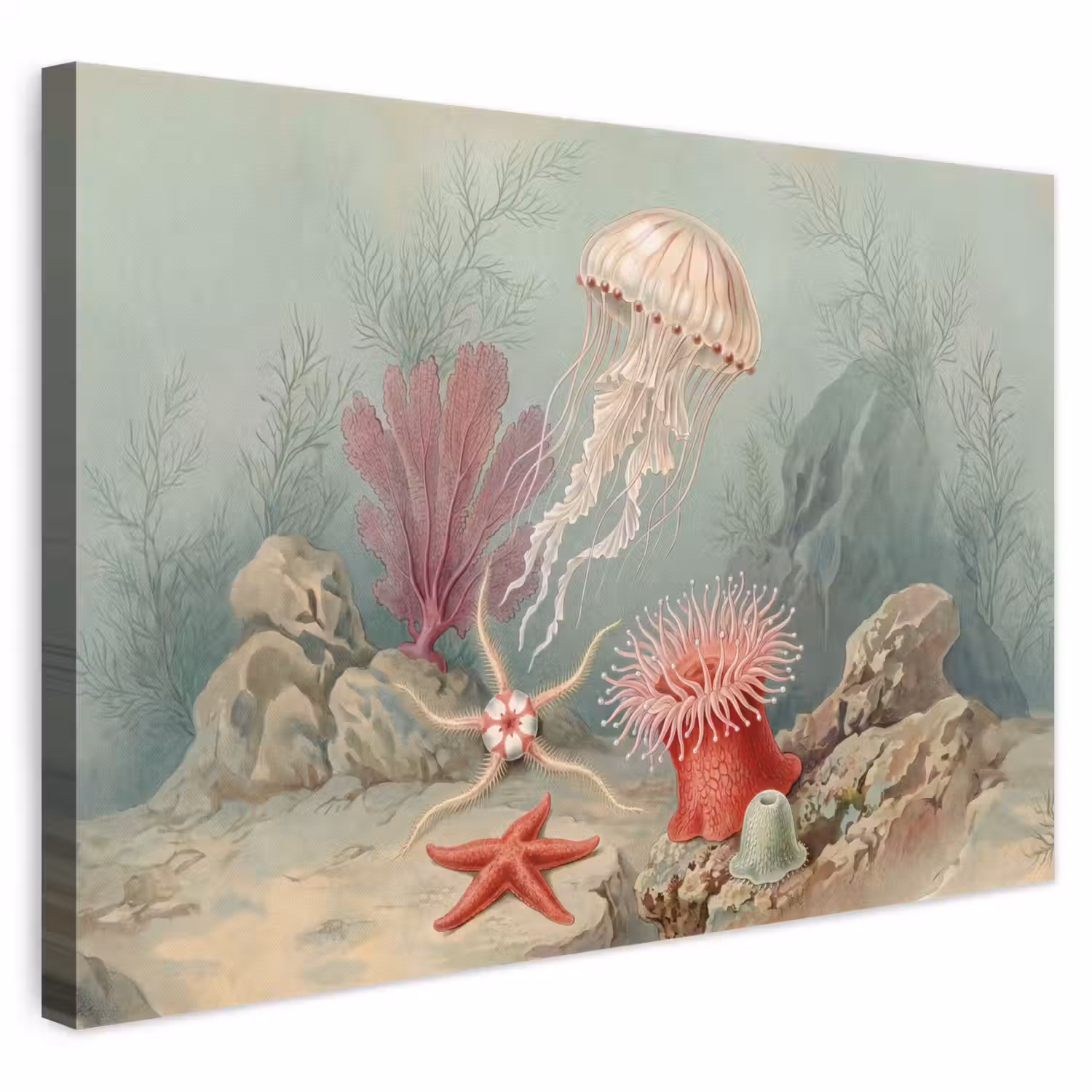 Zeeleven - Kwal - Onderwater - Illustratie - Beige canvas 2cm klein -3d