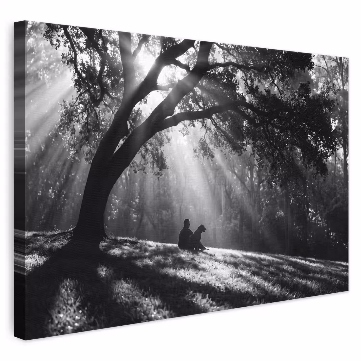 Mens - Hond - Natuur - Zwart-wit - Silhouet canvas 2cm klein -3d