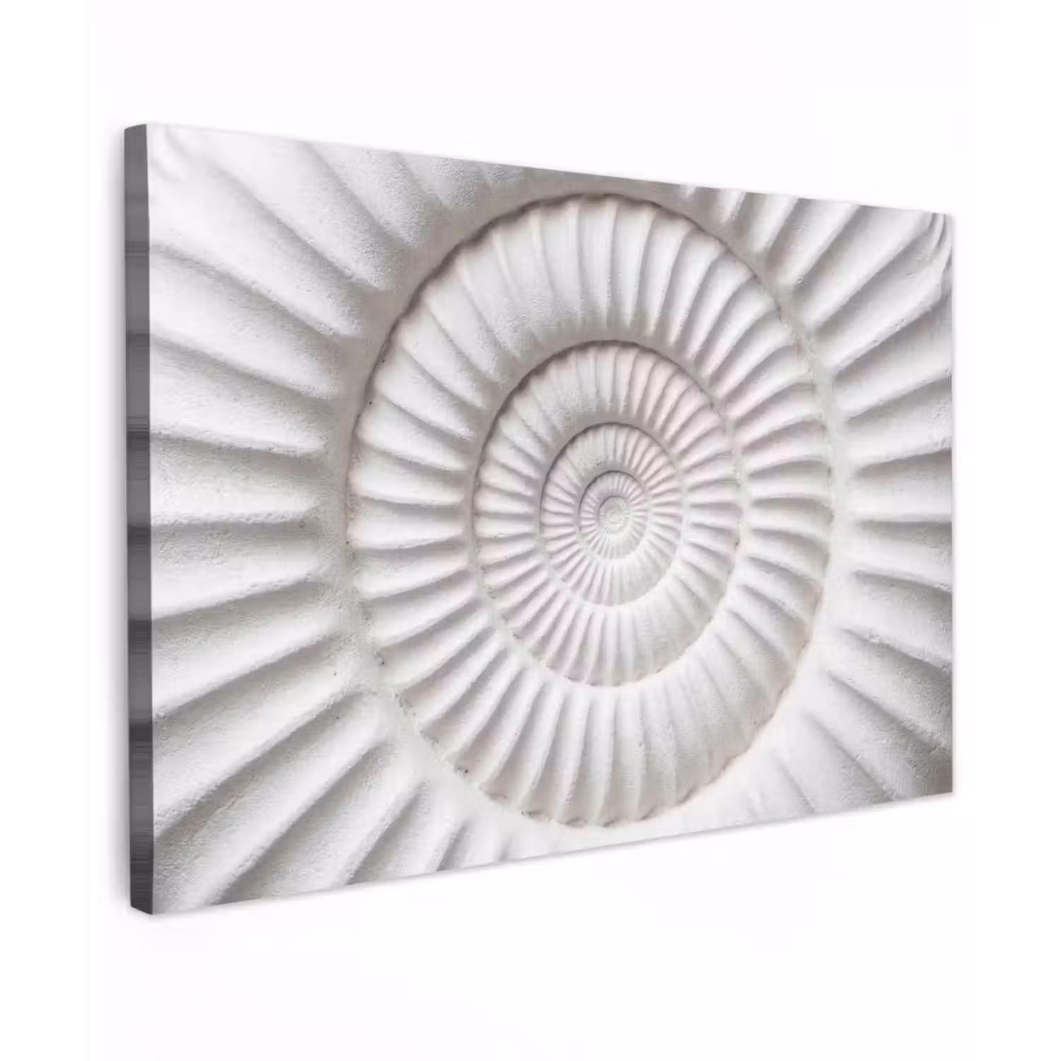 Schelp - Spiraal - Wit canvas 2cm klein -z3d
