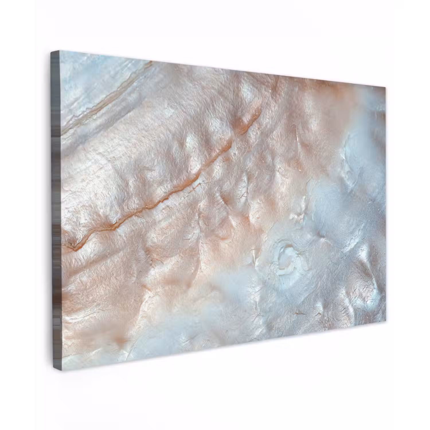 Schelpen - Abstract - Natuur canvas 2cm klein -z3d