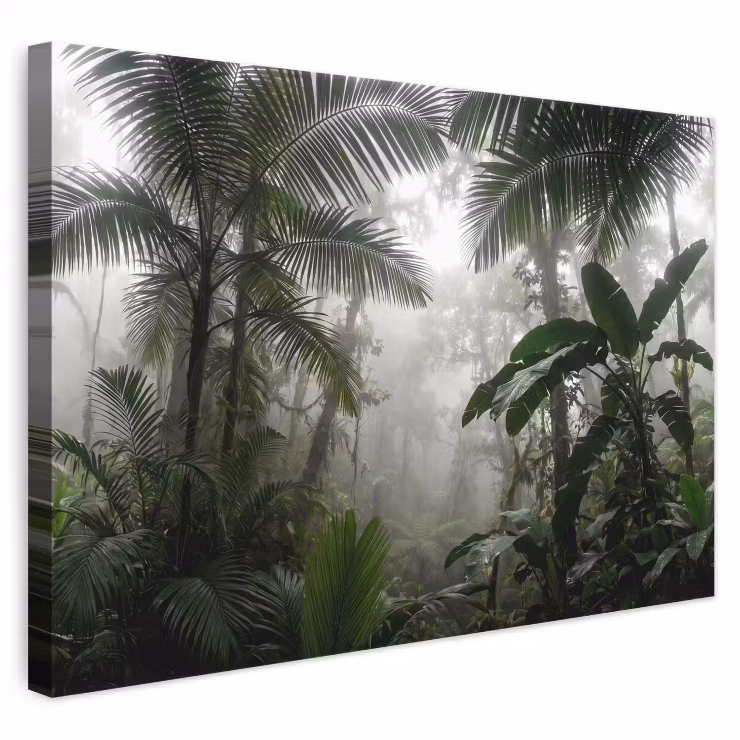 Natuur - Jungle - Mist - Groen - Bladeren canvas 2cm klein -3d