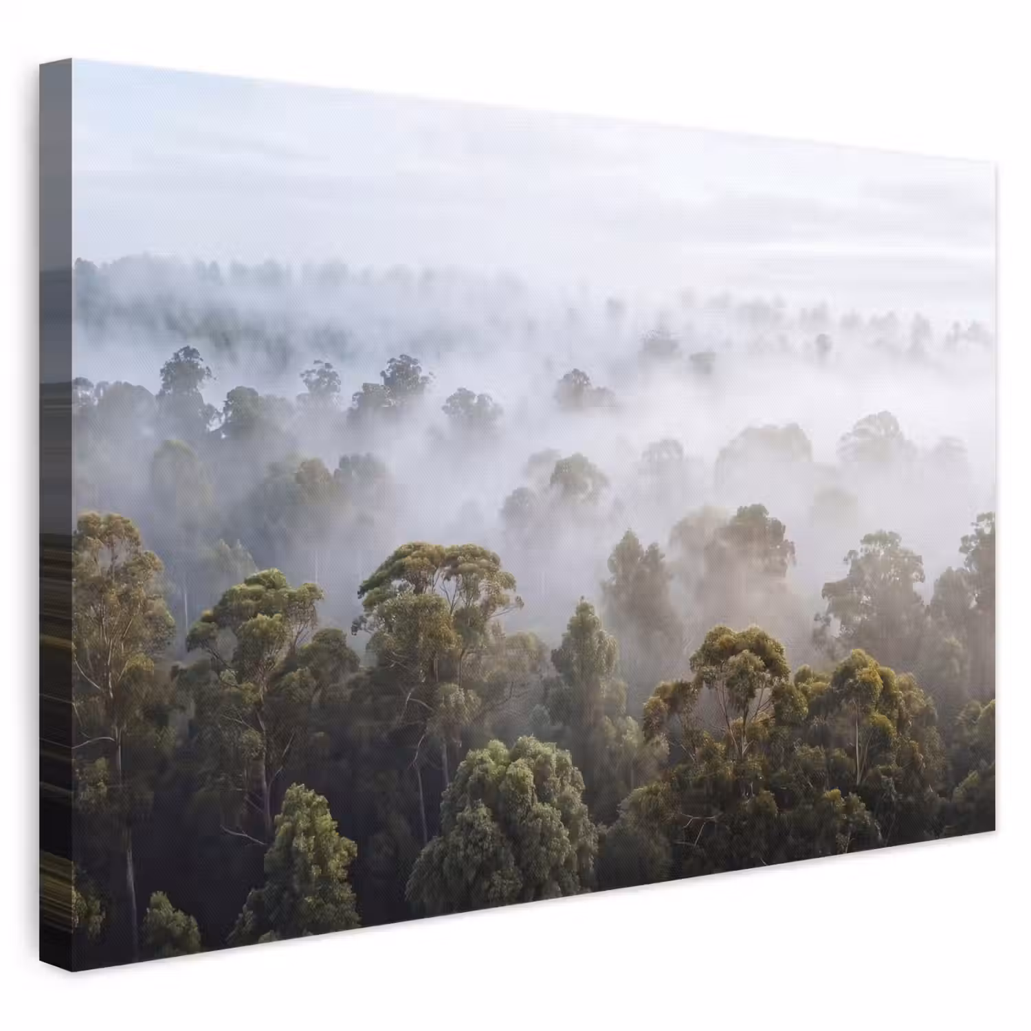 Natuur - Mist - Bos - Ochtend - Goud canvas 2cm klein -3d