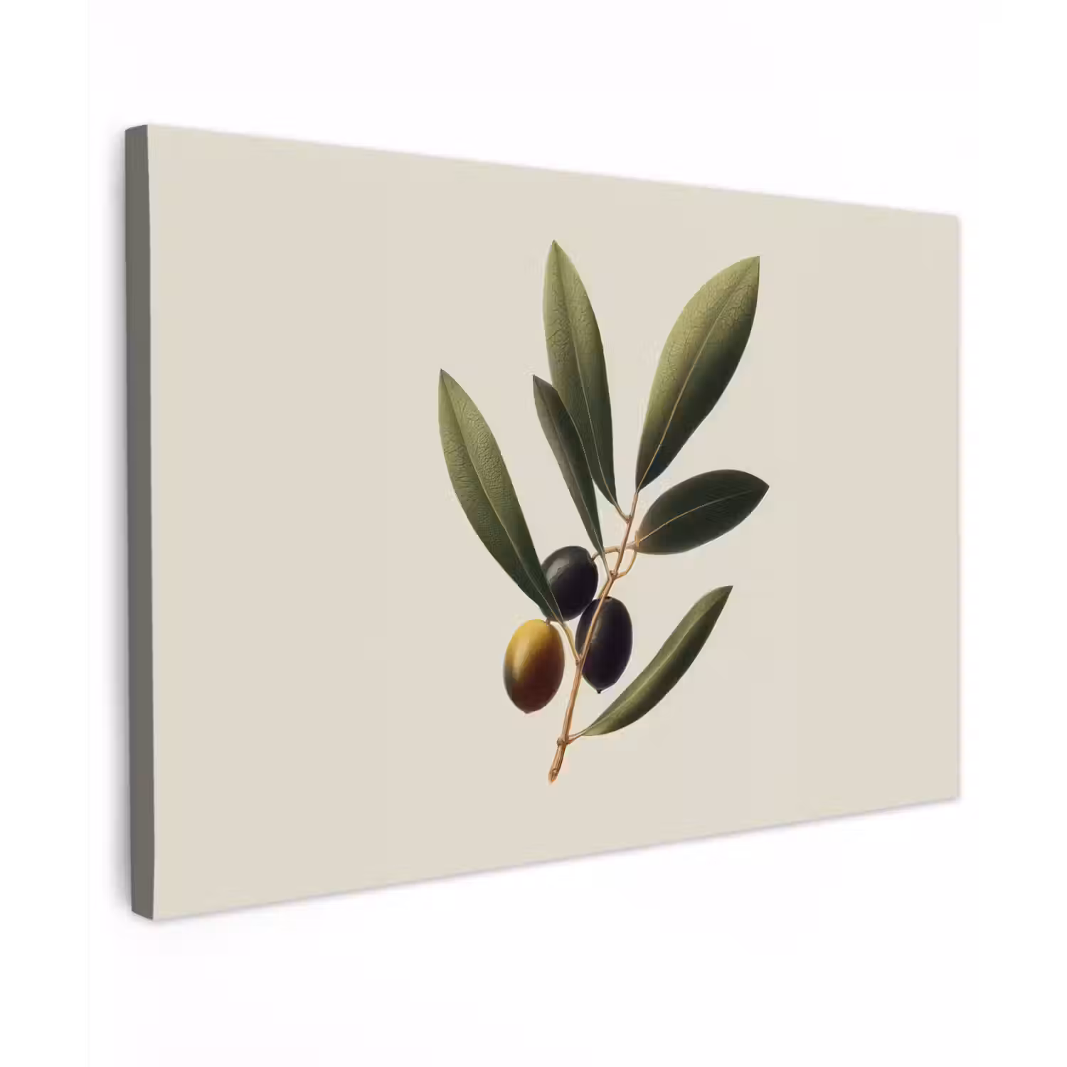 Olijftak - Donkergroen - Olijven canvas 2cm klein -z3d