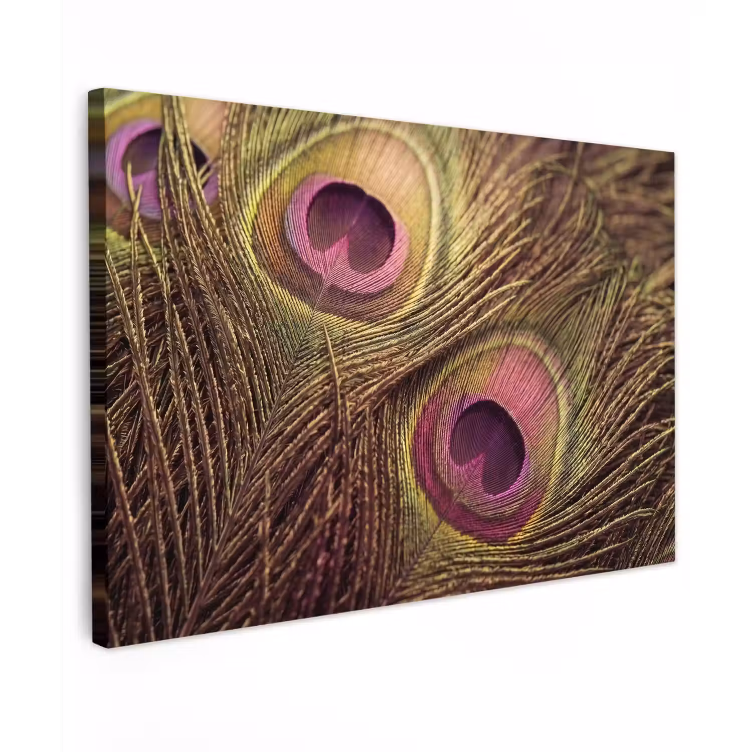 Pauw - Veren - Paars - Groen canvas 2cm klein -z3d