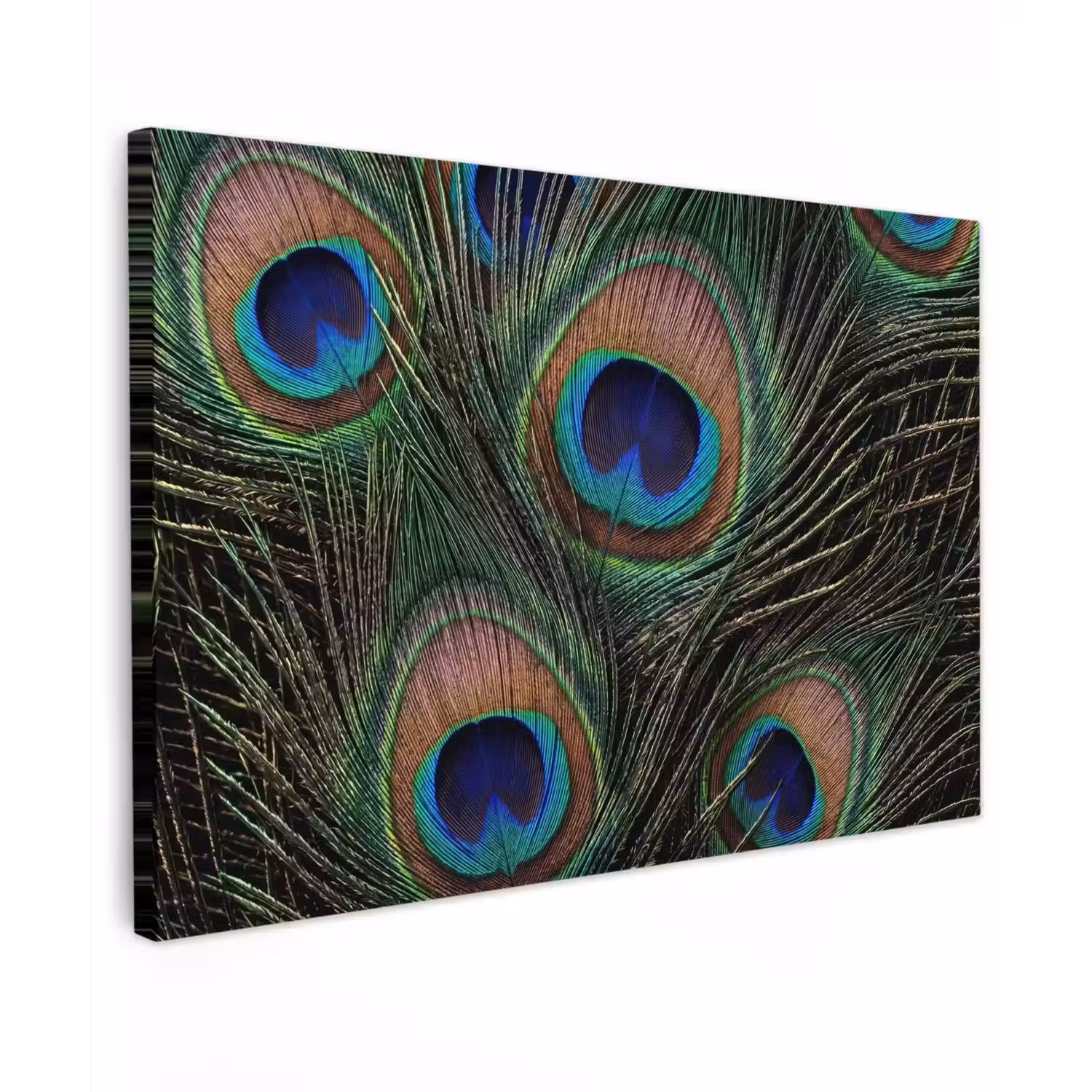Pauwenveren - Klassiek - Groen canvas 2cm klein -z3d