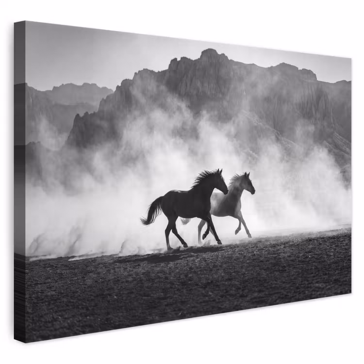 Paard - Ren - Stof - Zwart-wit - Dieren canvas 2cm klein -3d