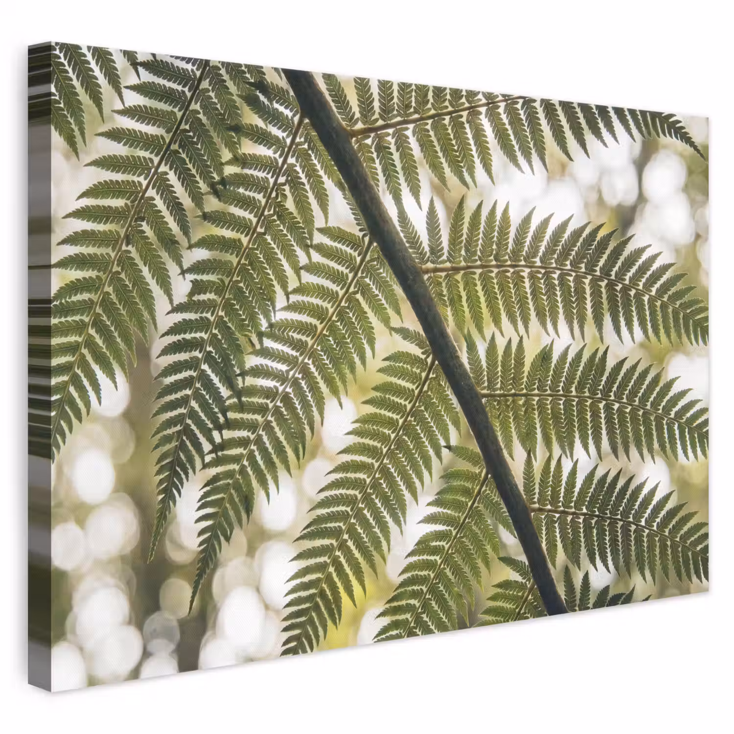 Plant - Blad - Natuur - Groen - Detail canvas 2cm klein -3d
