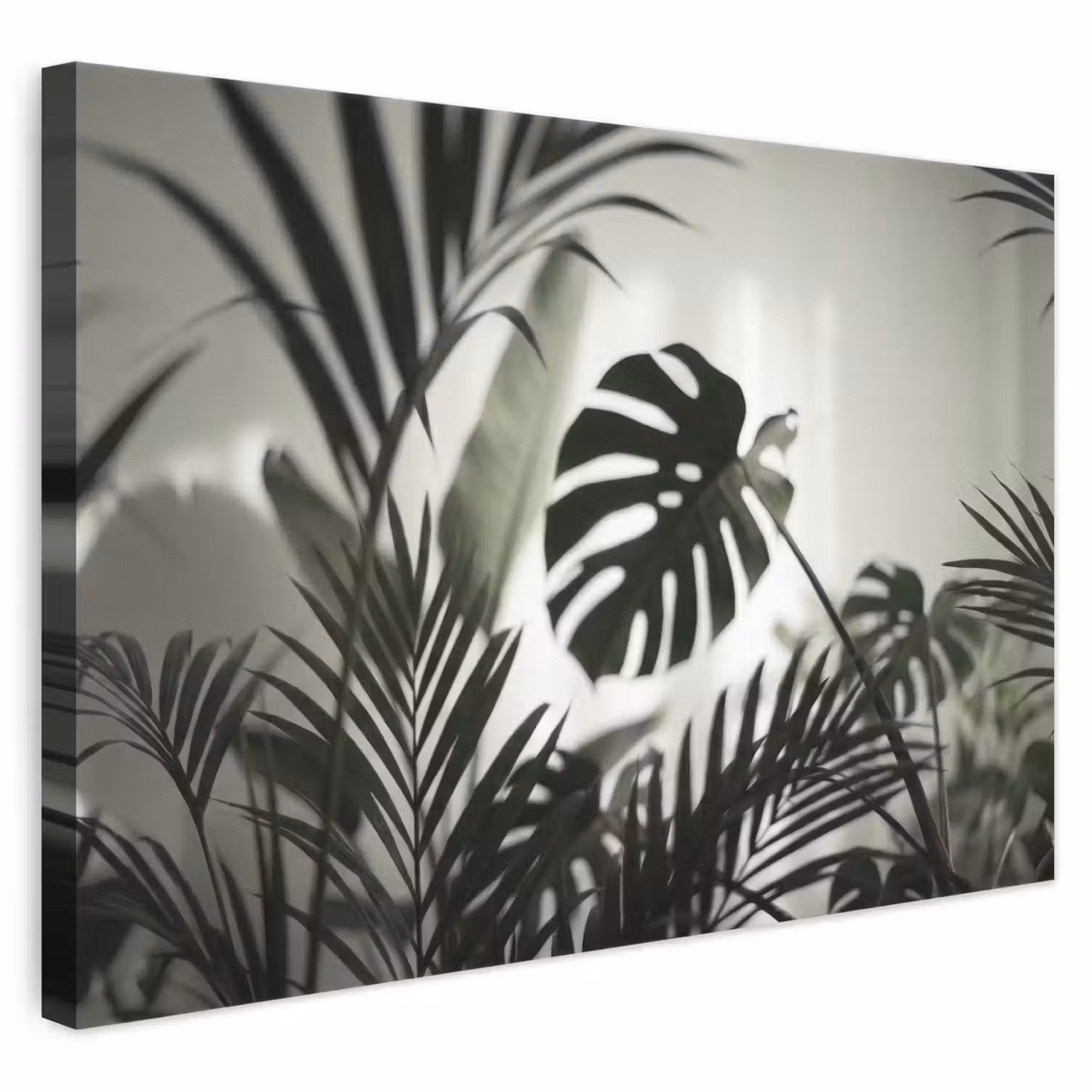 Planten - Bladeren - Natuur - Minimalistisch - Groen canvas 2cm klein -3d
