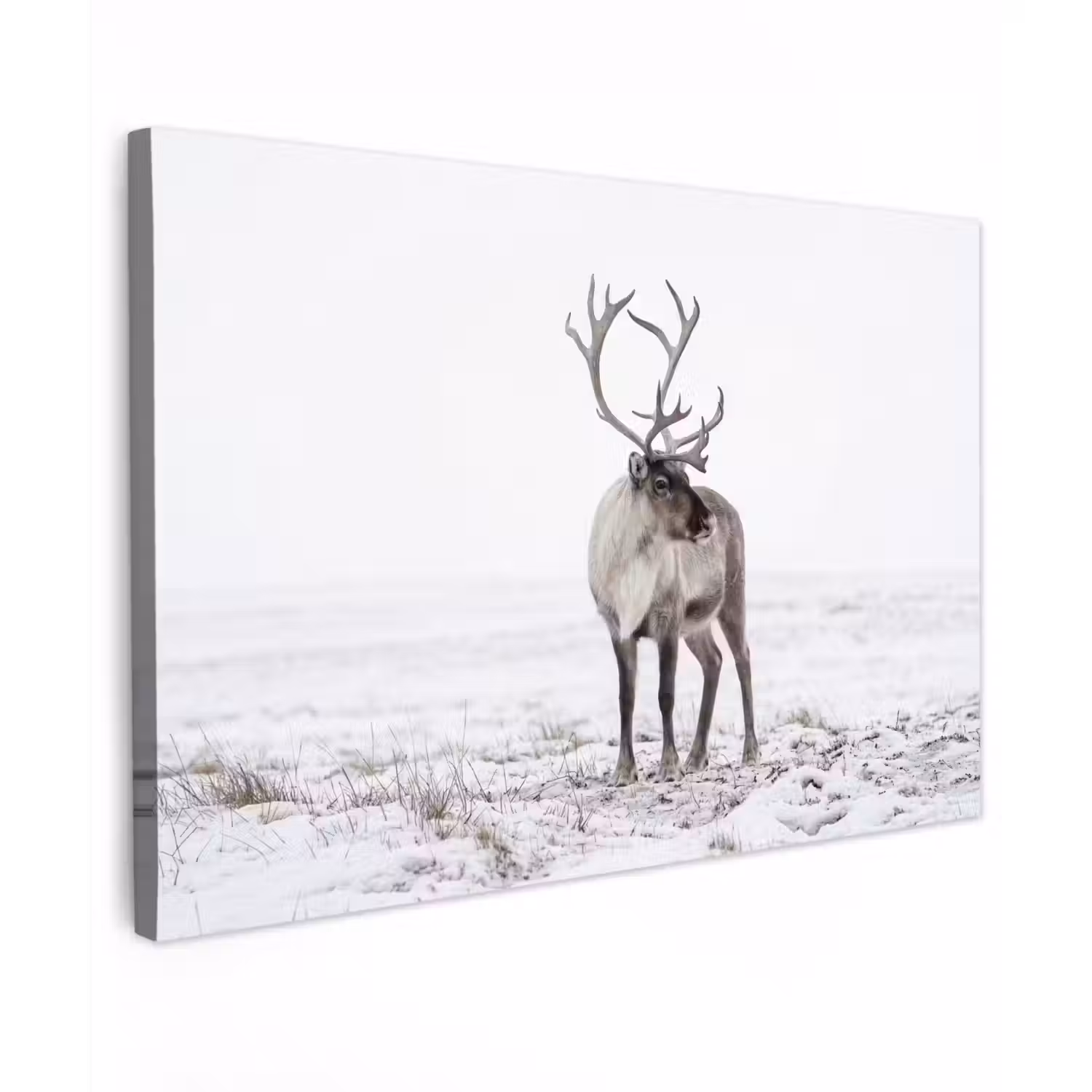 Rendier - Gewei - Sneeuw - Winter canvas 2cm klein -z3d