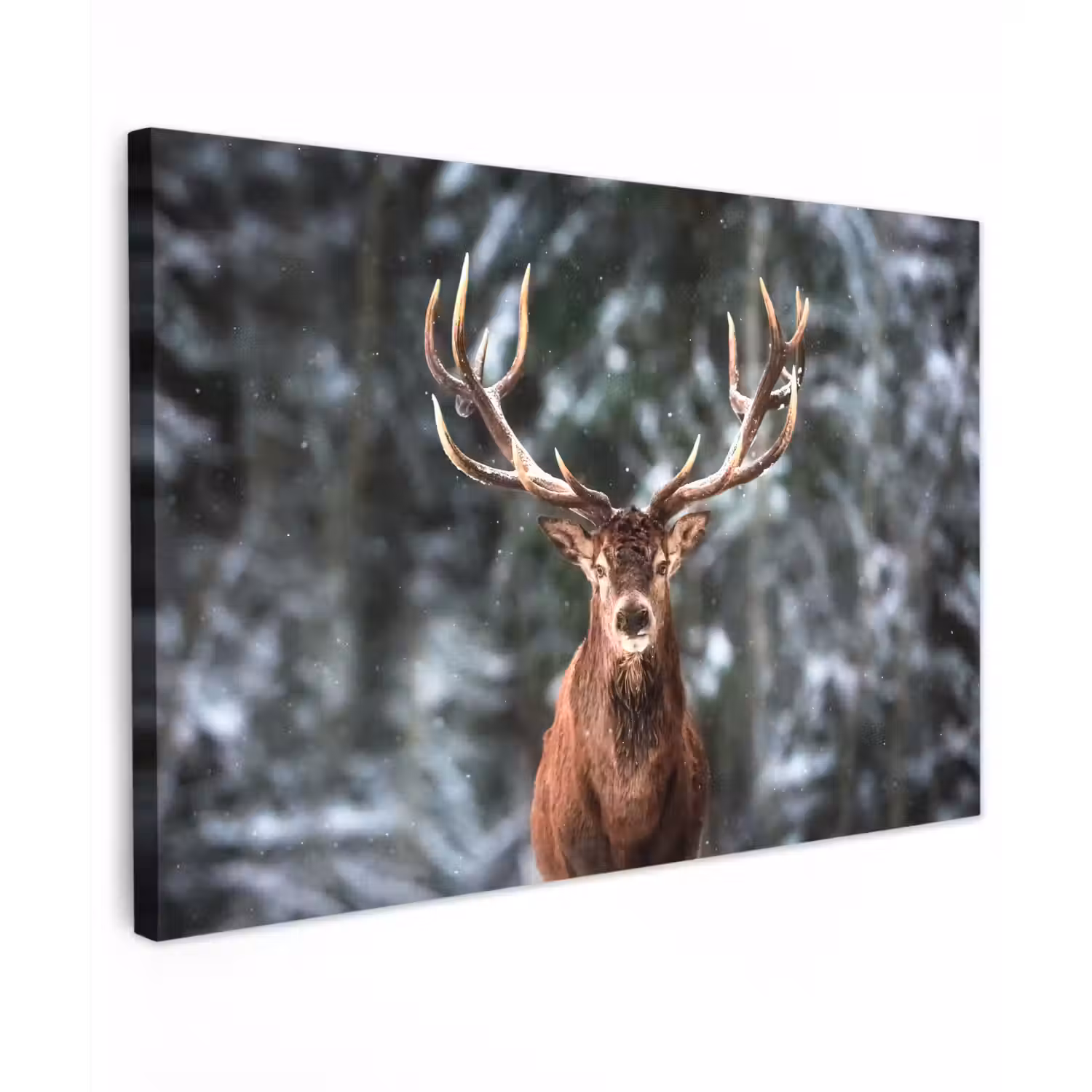 Hert - Winter - Sneeuw - Bos - Natuur - Dier canvas 2cm klein -z3d
