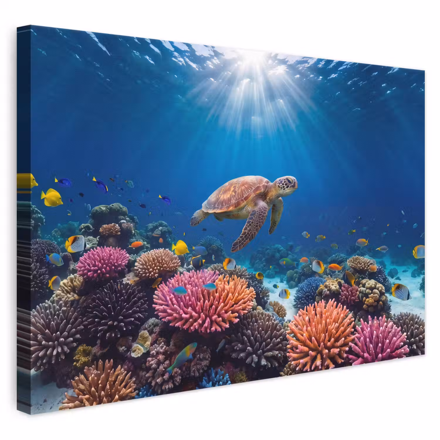 Schildpad - Koraalrif - Oceaan - Dieren - Blauw canvas 2cm klein -3d