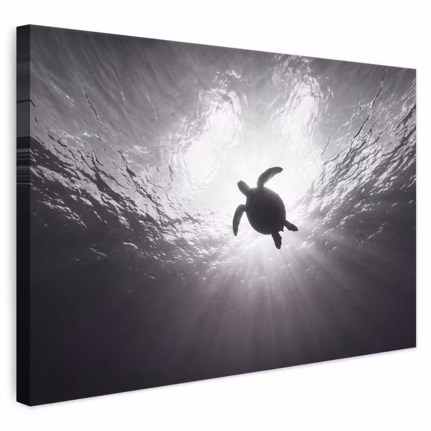 Schildpad - Onderwater - Lichtstralen - Oceaan - Zwart-wit canvas 2cm klein -3d