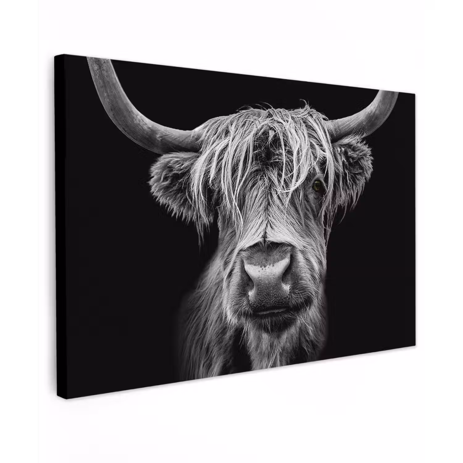 Schotse Hooglander - Horens - Zwart - Wit - Koe - Wild - Dieren canvas 2cm klein -z3d