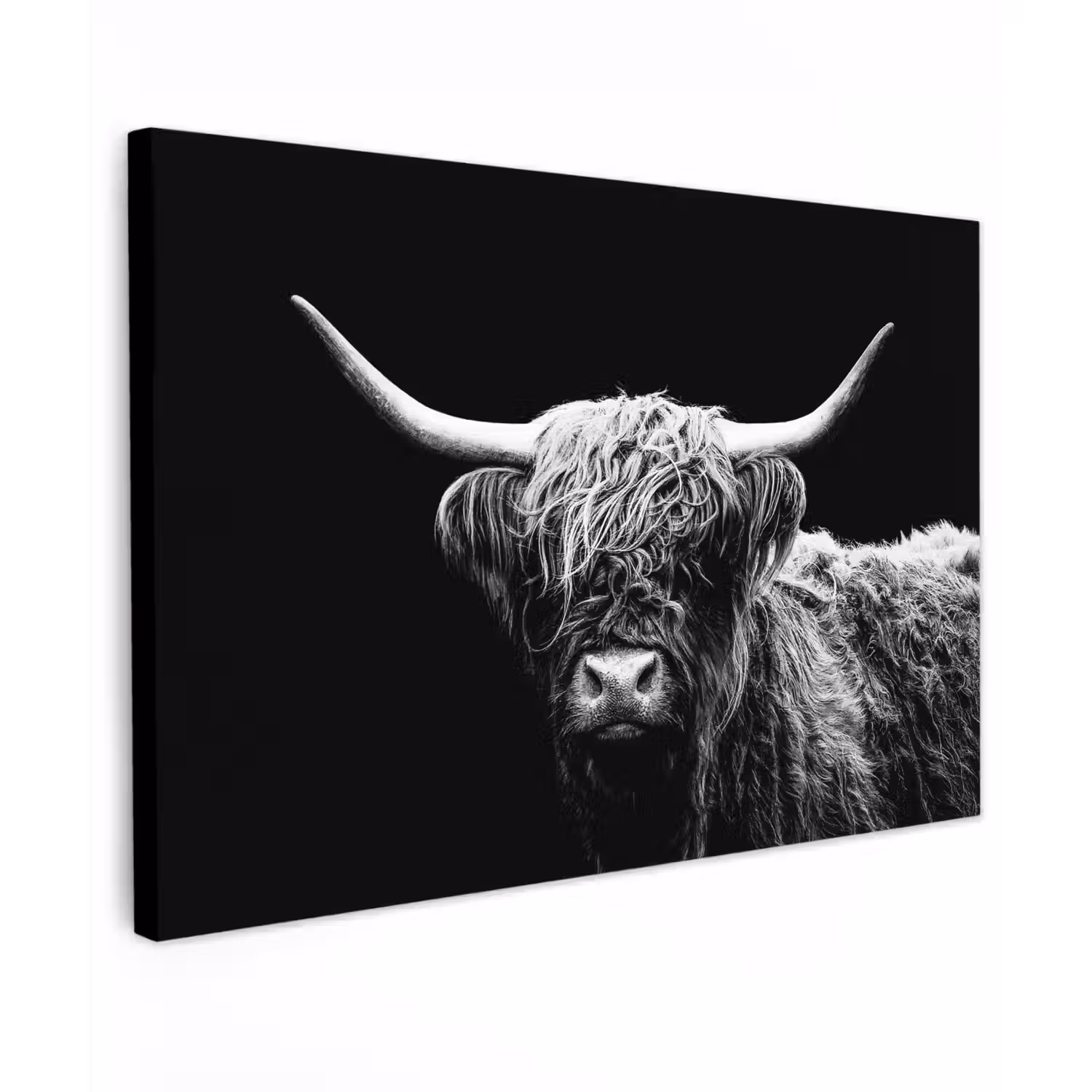 Schotse Hooglander - Koe - Zwart - Wit - Dieren canvas 2cm klein -z3d